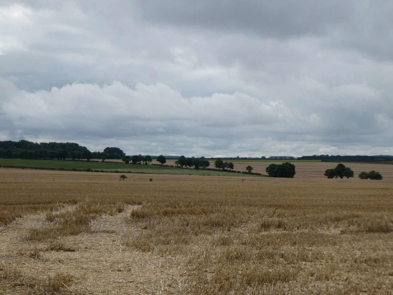 Lincolnshire Wolds bei Swallow