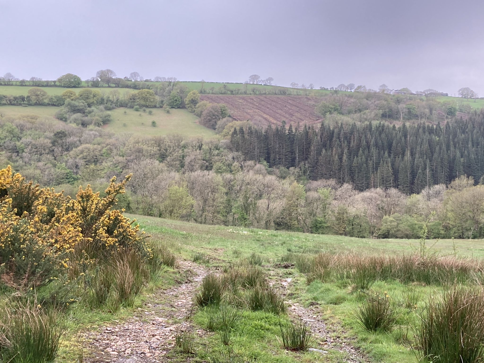 At the right hand bend lovely view across the valley and to where you eventually walk 