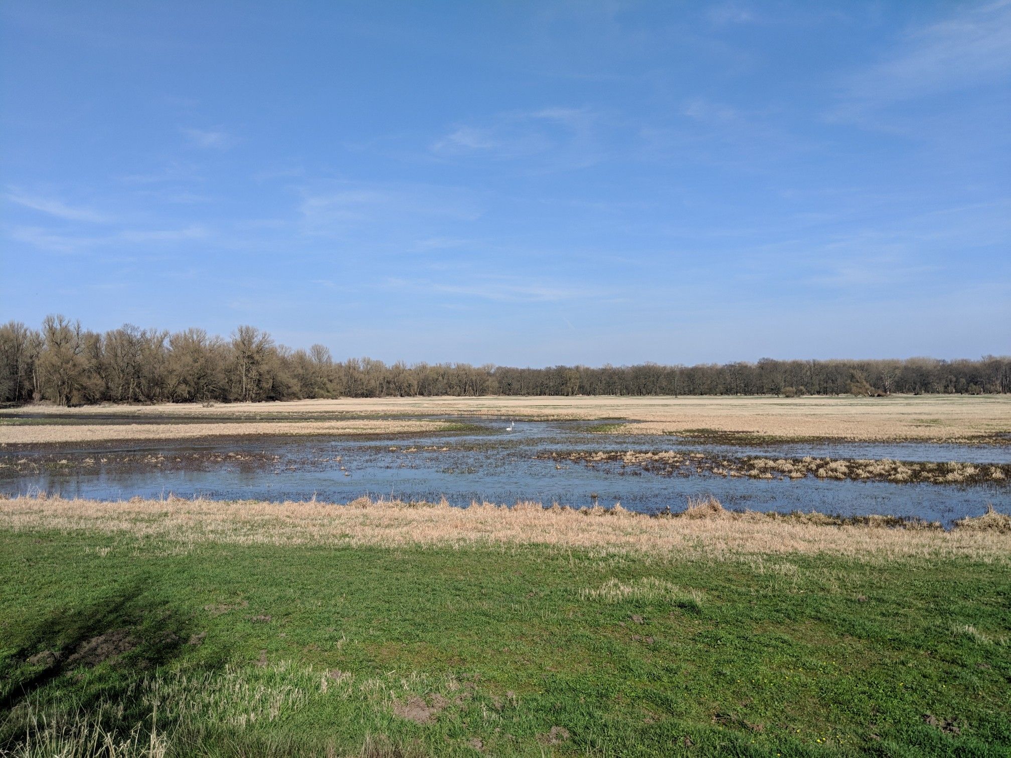 NSG Eichwald und Buschmühle an der Oder