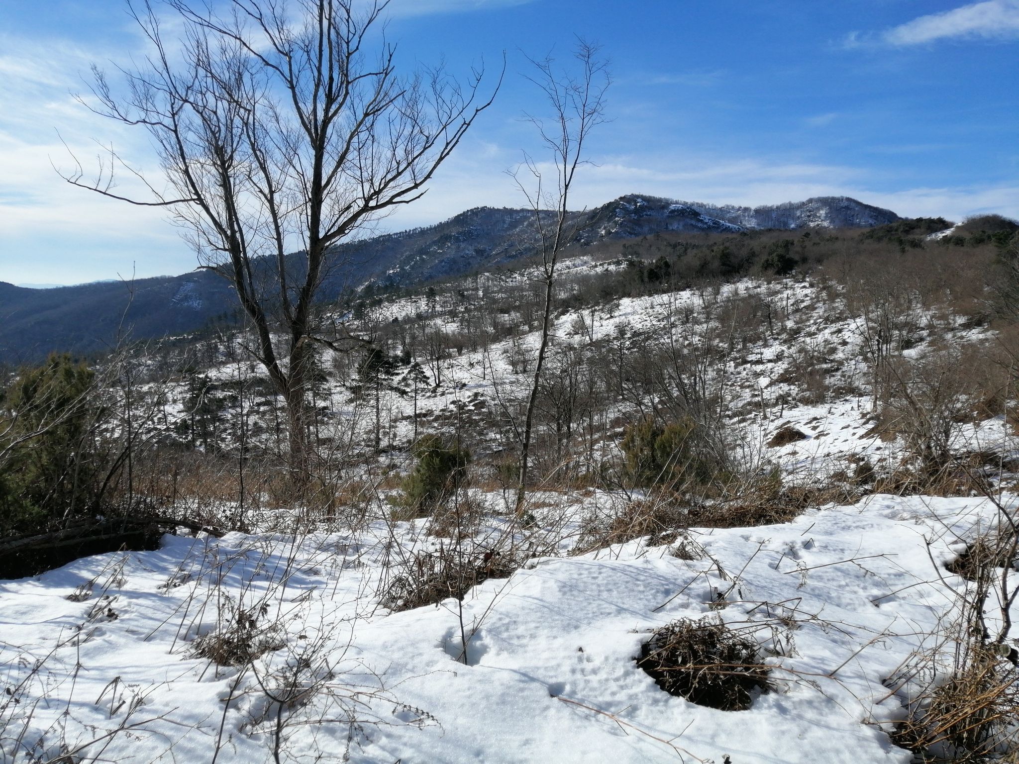 campo dei francesi