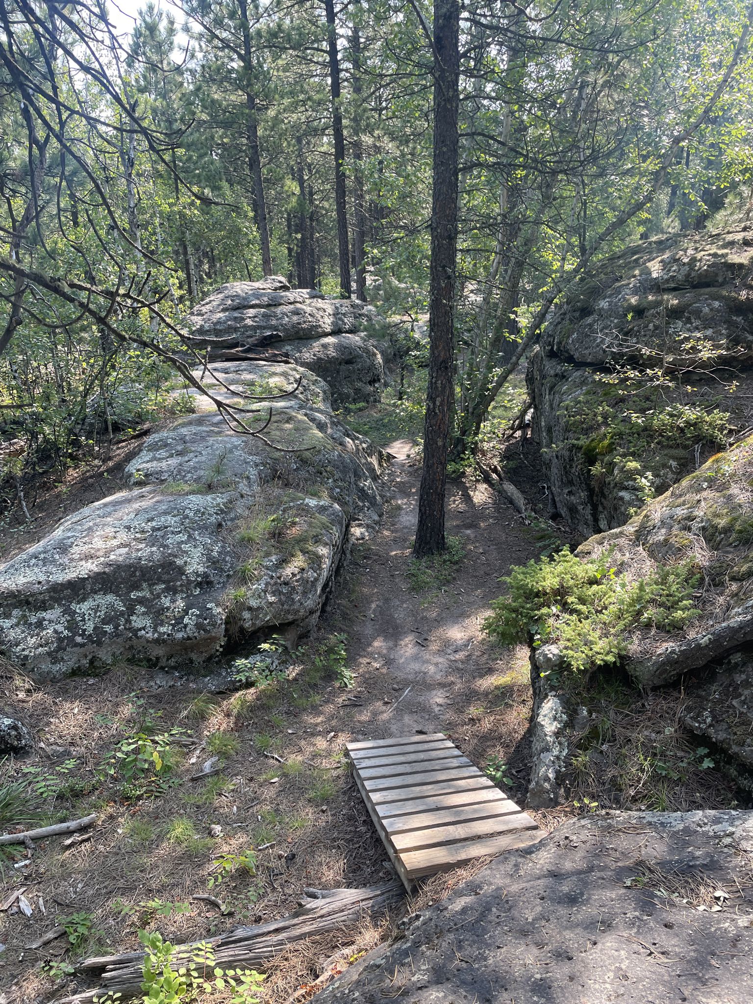 Forest path winding through large rocks, with a small wooden bridge. - Bone Collector and Bone Up Loop