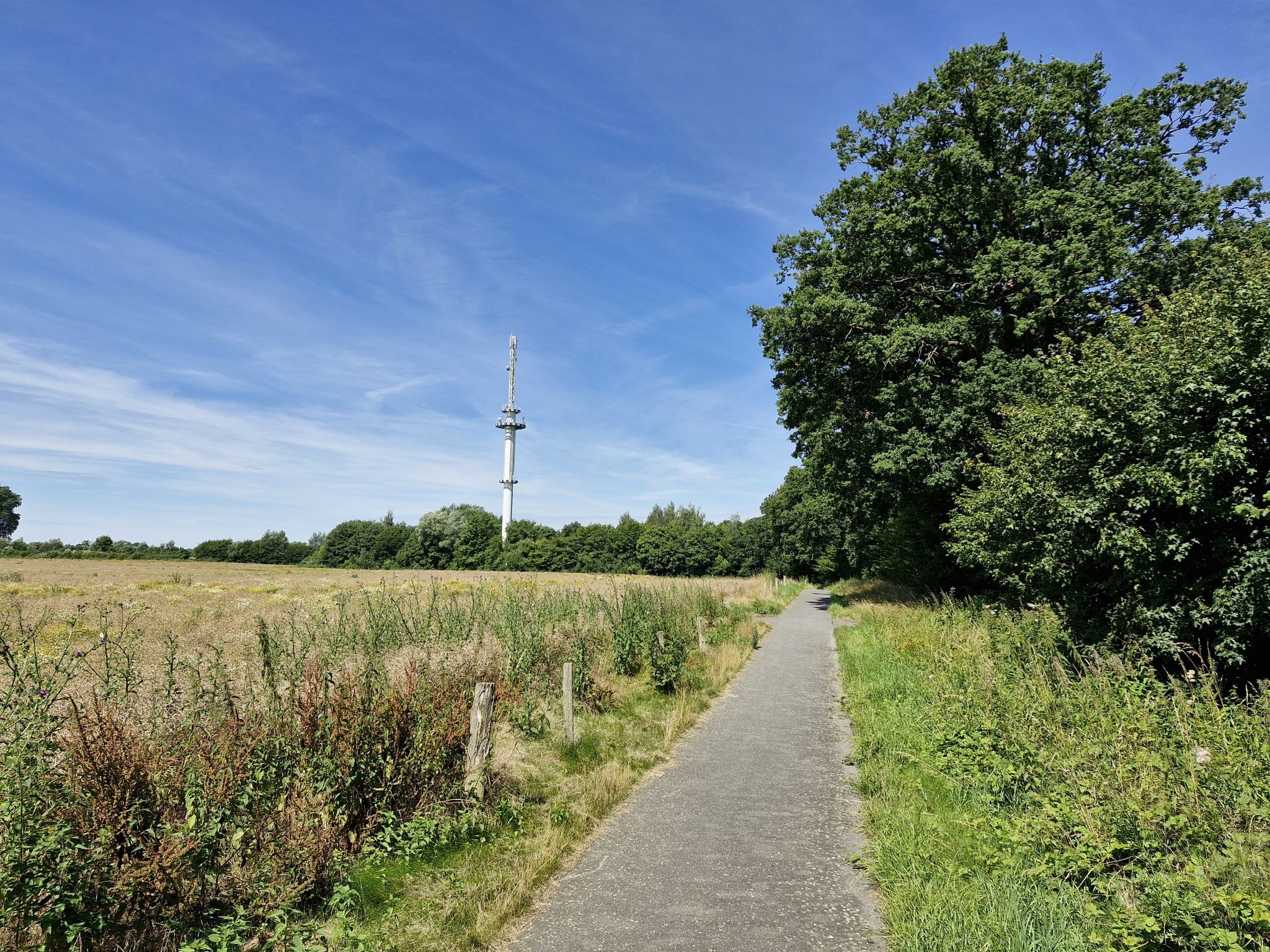 Schöner Radweg abseits der Straße