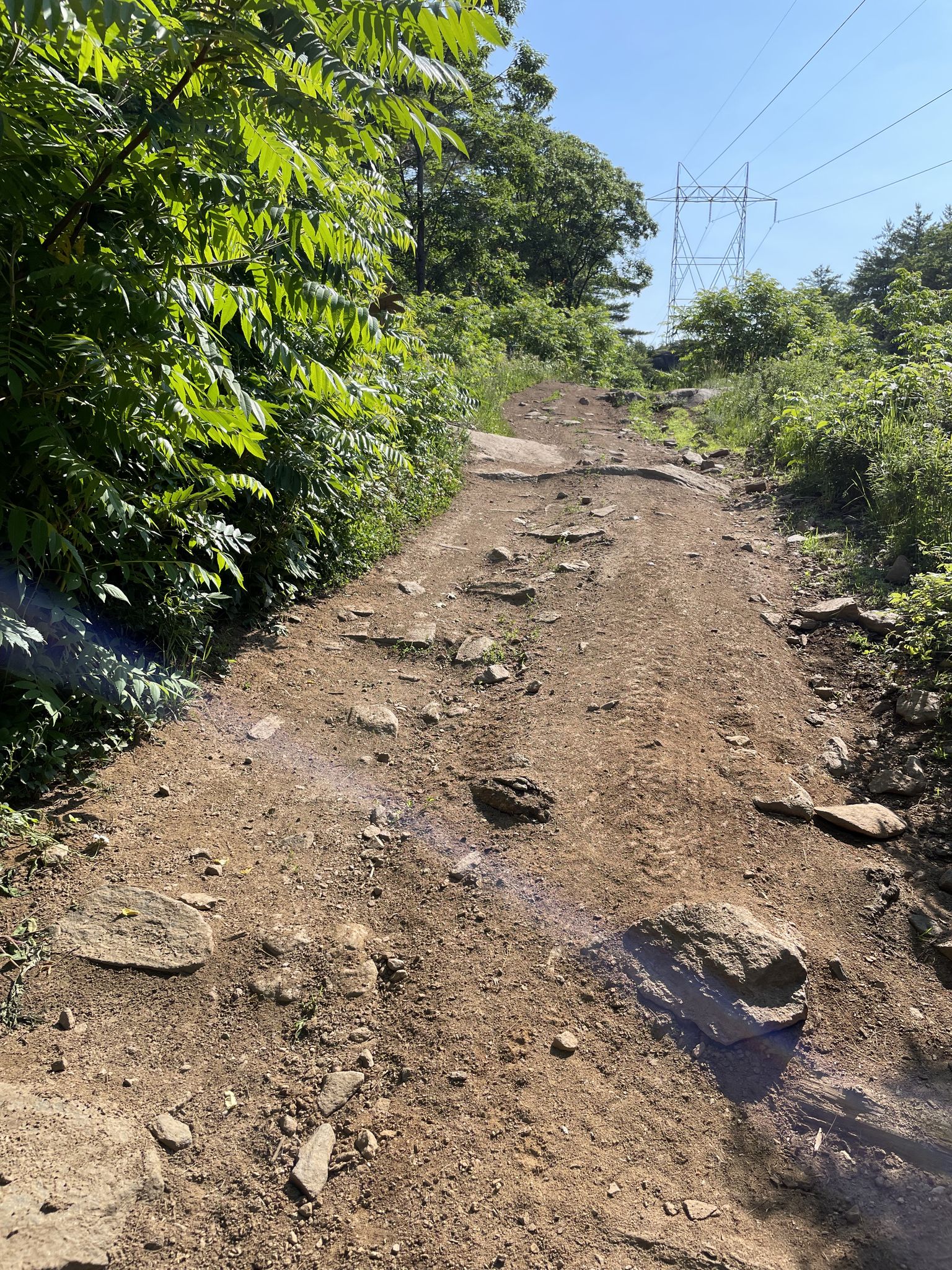 ATV double-track