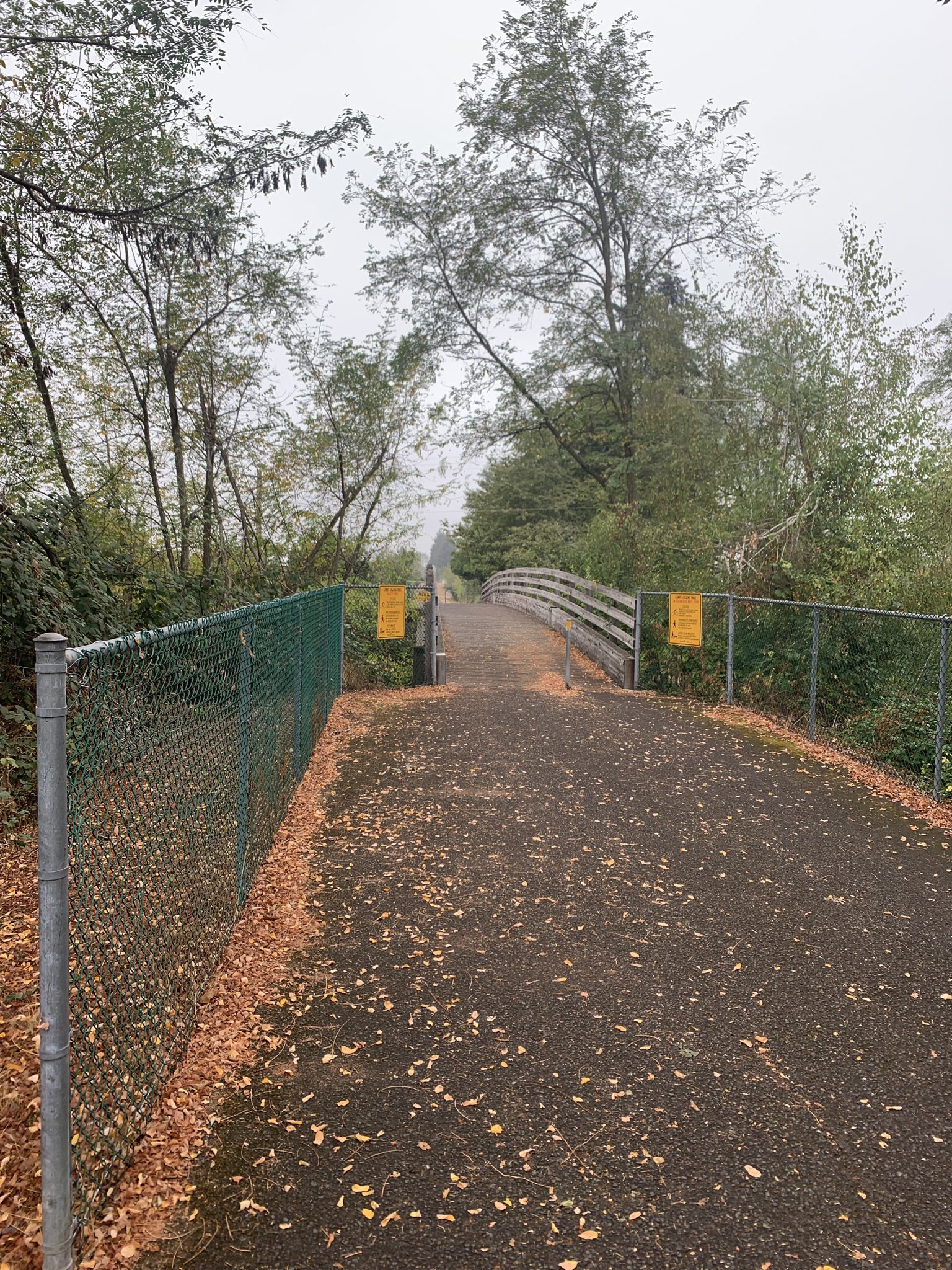 Leaf-covered paved path leading to a wooden bridge, surrounded by trees. - Logging County Road loop from Canby