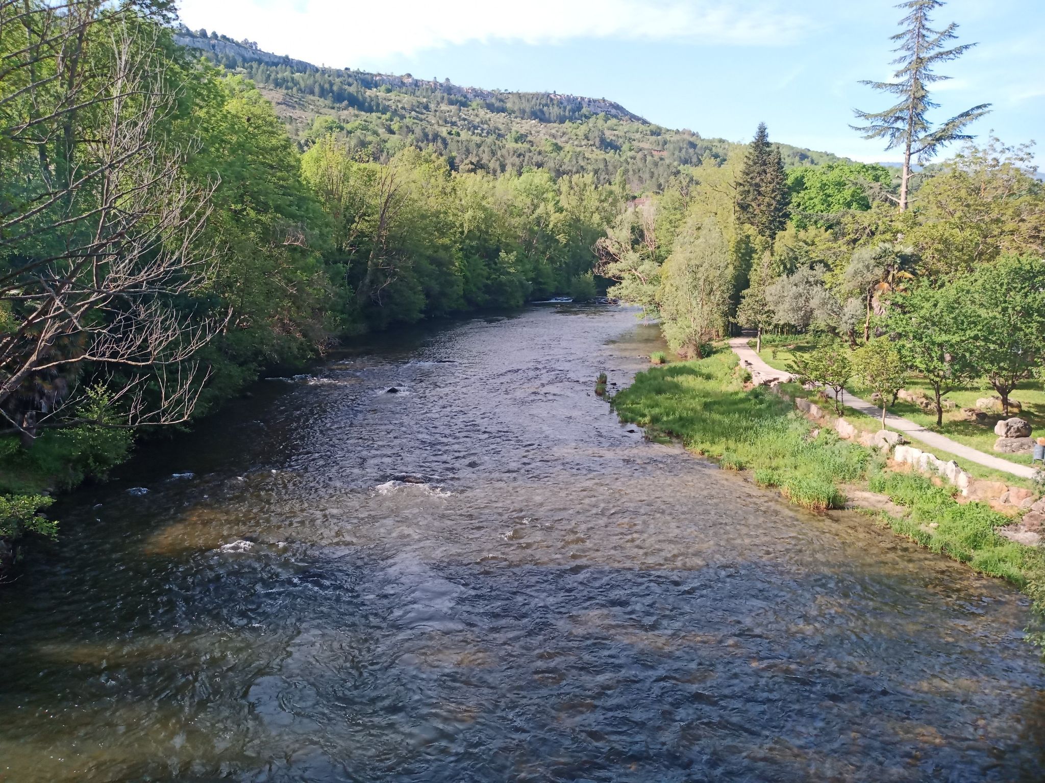 rivière à truites
