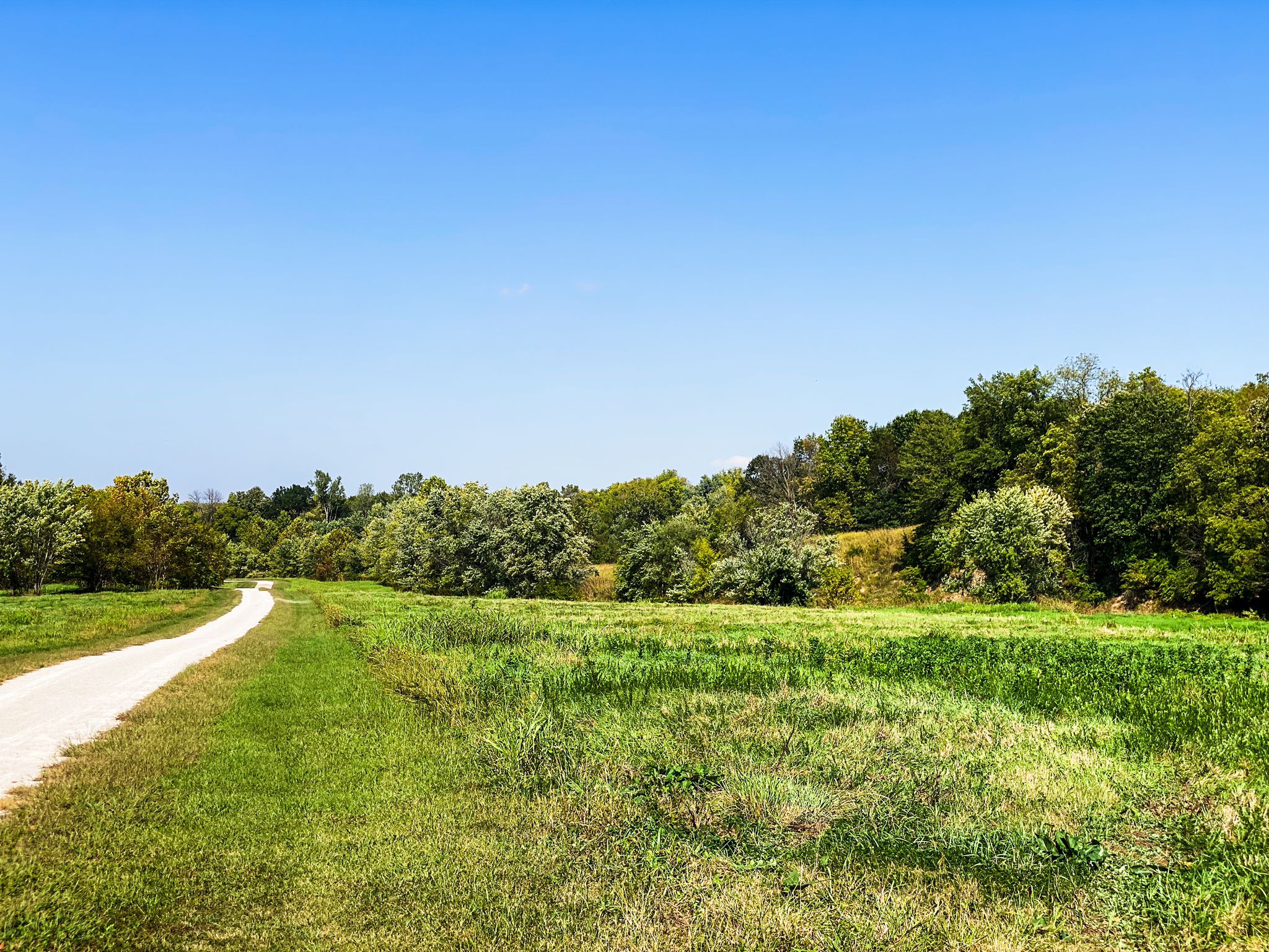 A dirt path curves through vibrant green fields on a sunny day. - Little Blue Trace Trail