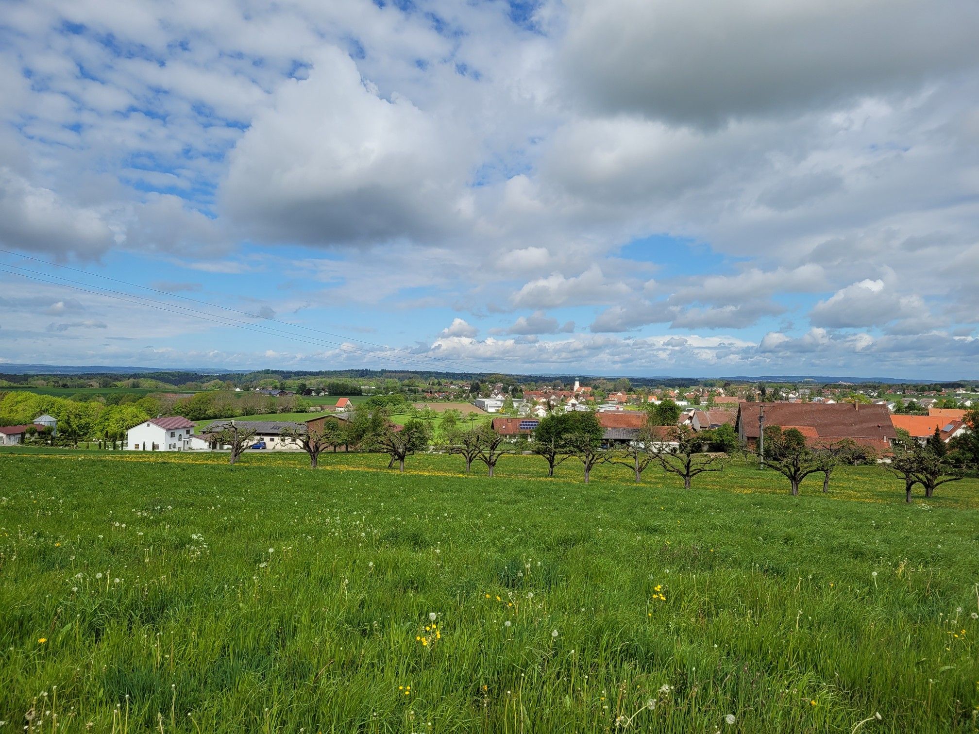 ausblick auf Bergatreute