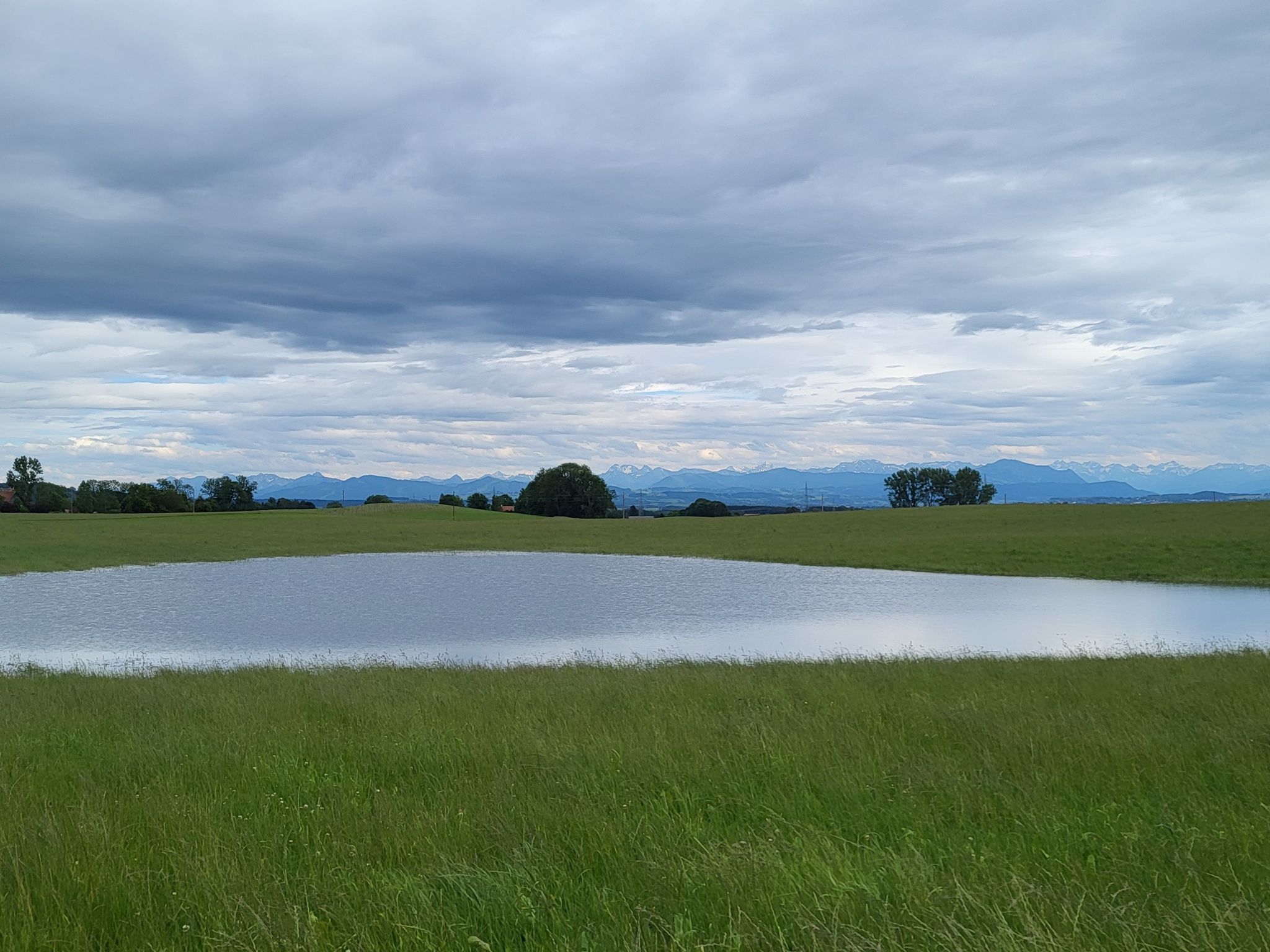hier ist die Wiese noch überschwemmt🫣