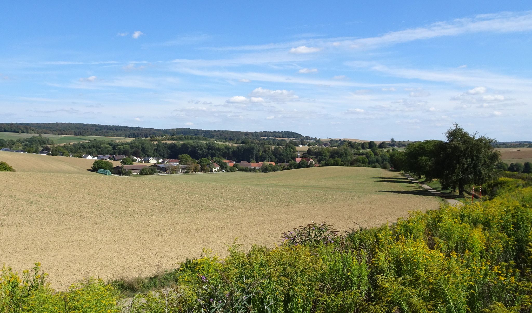 Lobenfeld