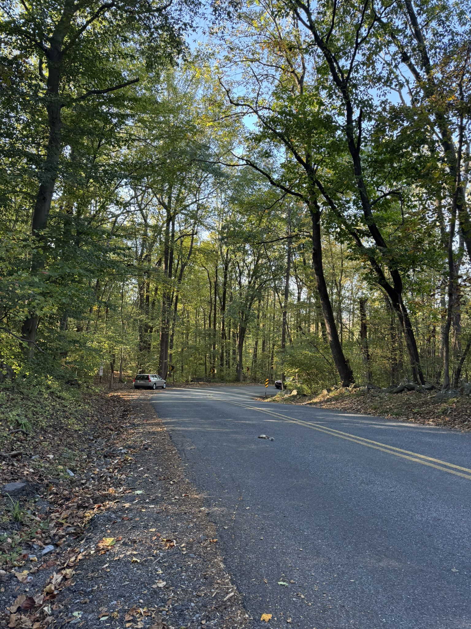 Paved road curves through a sunlit forest with a parked car. - Monocacy Hill Lower Trail Loop