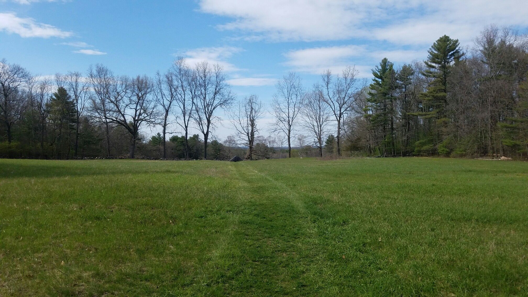 Expansive green field with a line of bare trees and forest under a blue sky. - Birch Trail Kicker – Callahan State Park (entrance) loop from RZA Island