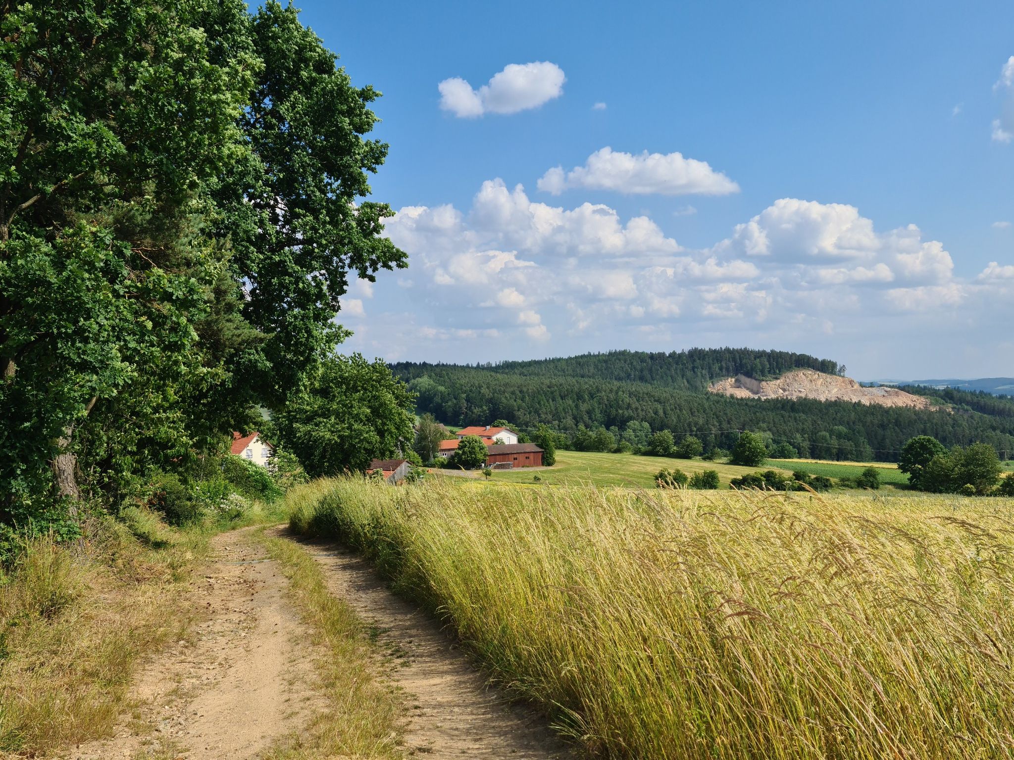 Rückblick zum Steinbruch
