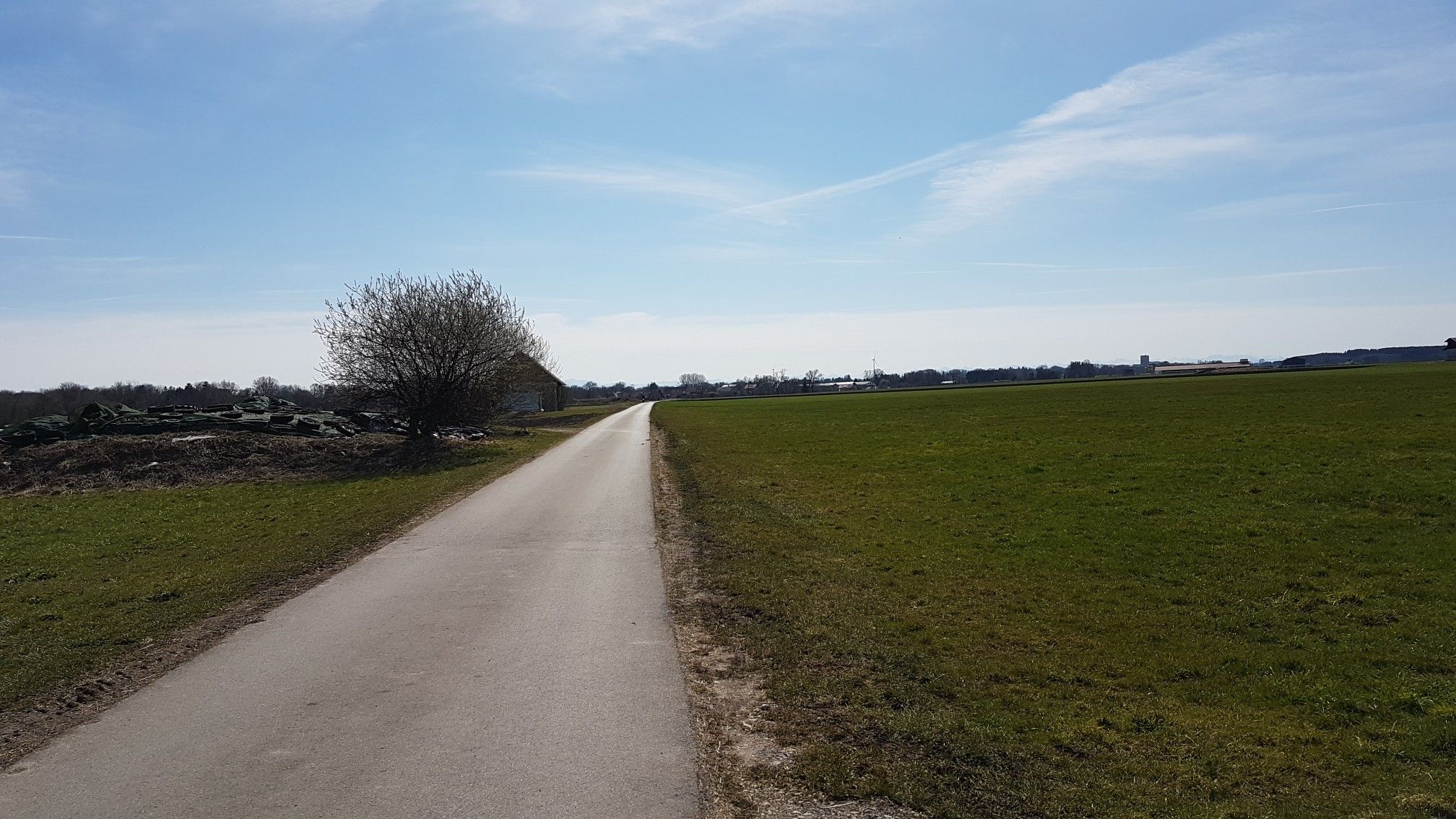 asphaltierter Wirtschaftsweg 