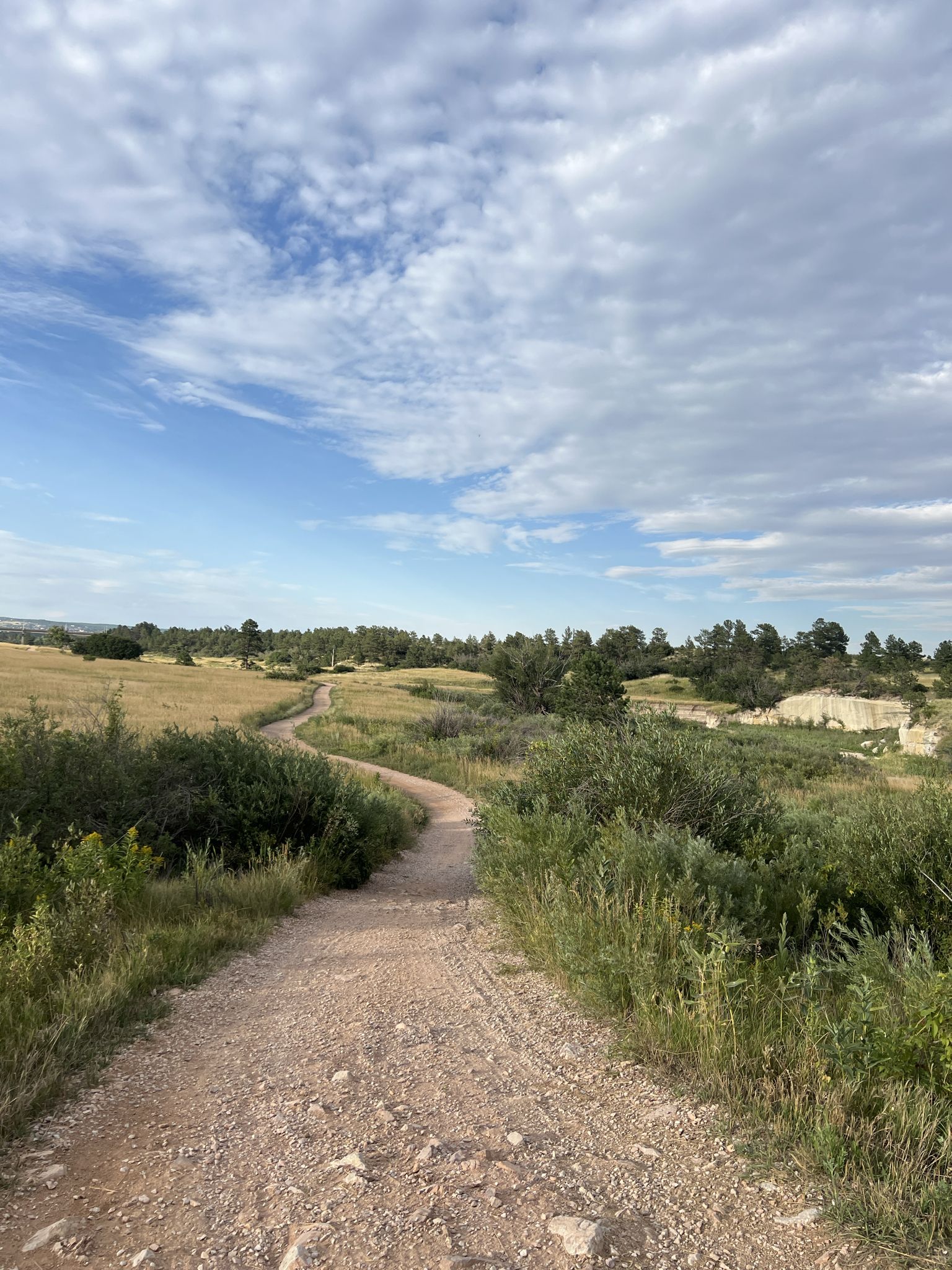 A winding dirt path through green fields under a partly cloudy sky. - Colorado Front Range Trail