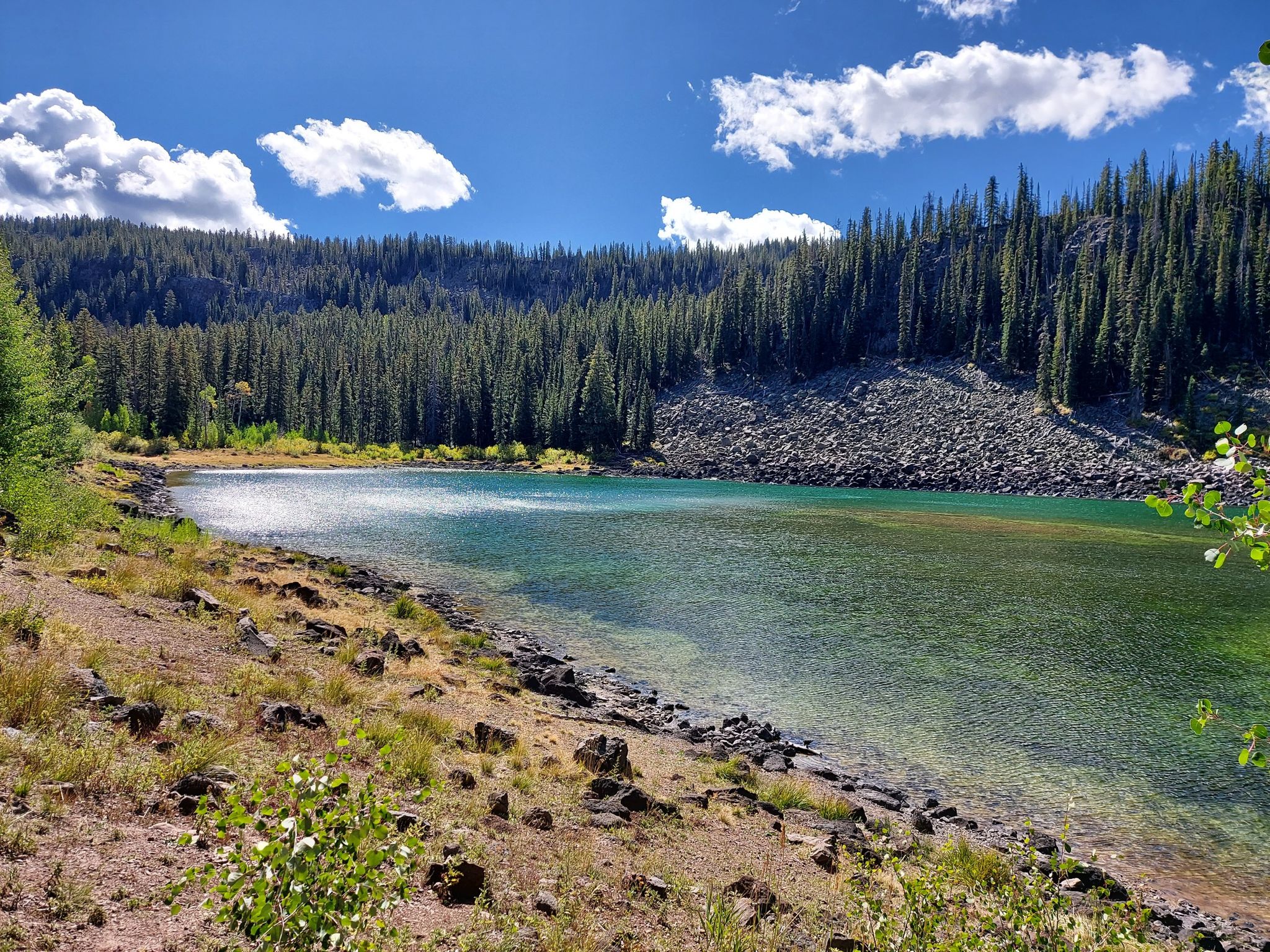 Clear blue-green lake bordered by pine forest and rocky slopes on a sunny day. - Lost Lake Trail