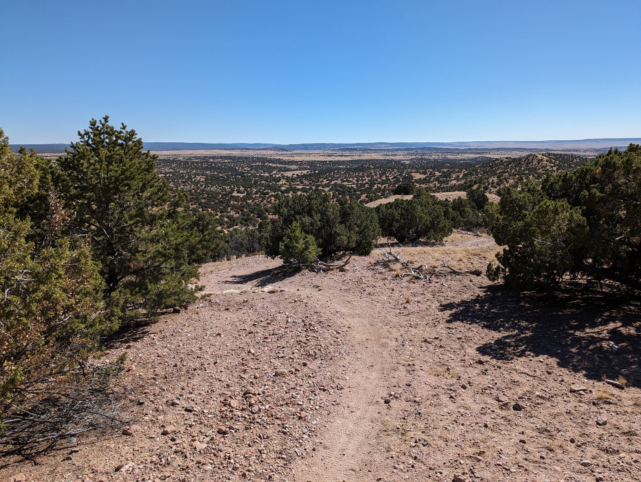 Dirt path through arid terrain with scattered trees under a clear sky. - Shepherd's, Eliza's Ridge and Gretl's Way Loop