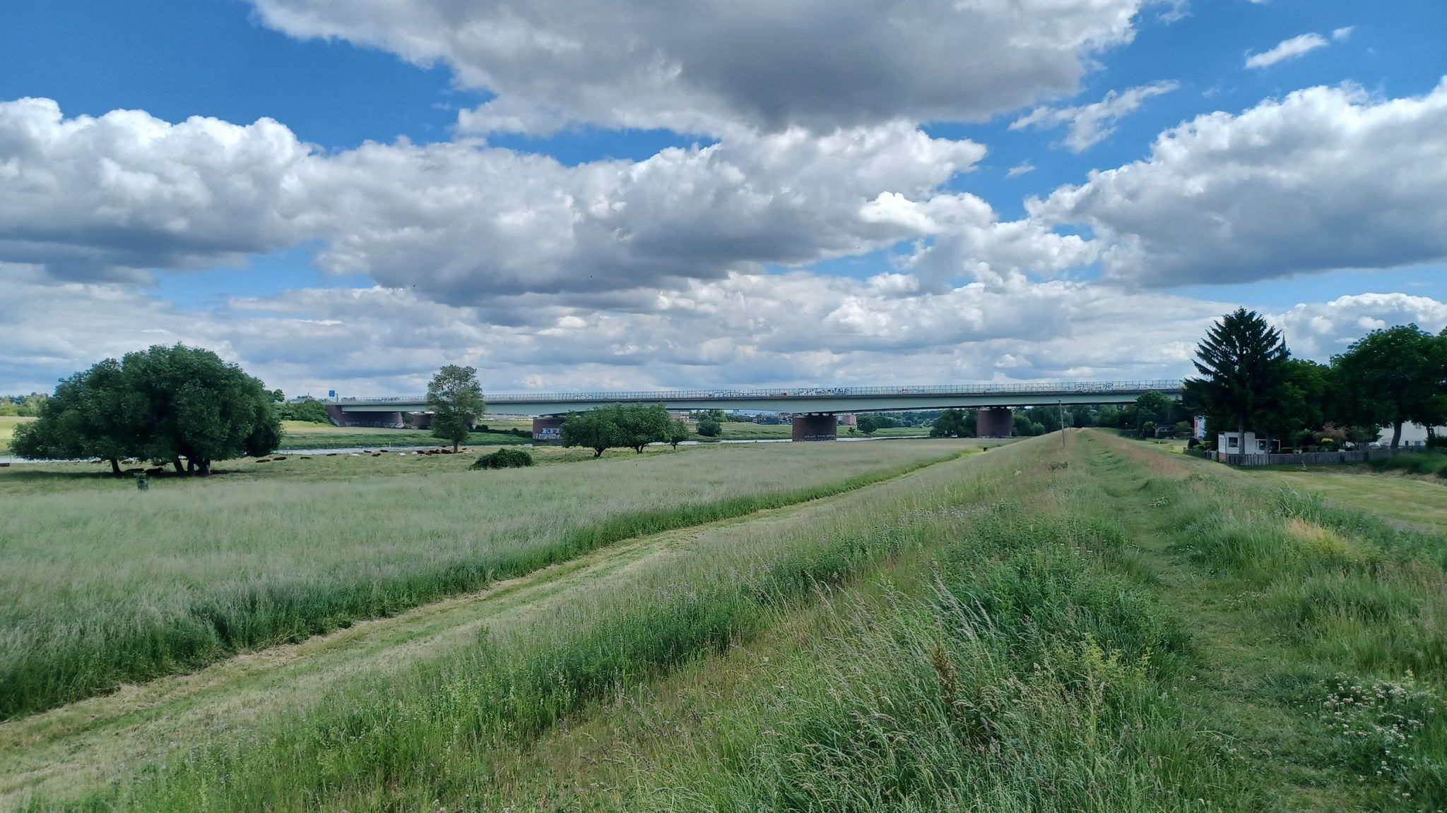 Blick zur Autobahnbrücke.