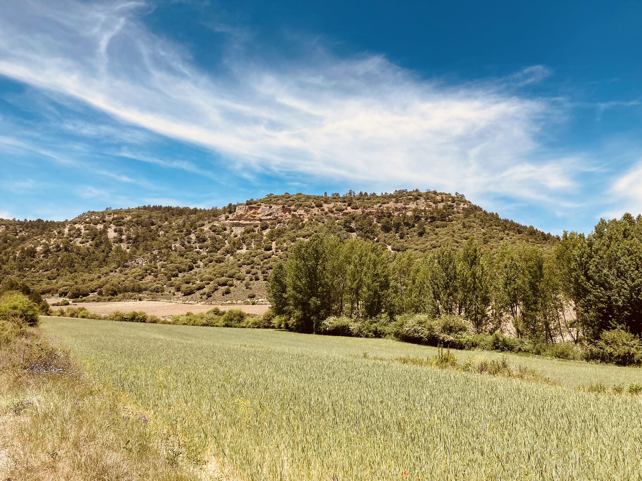 Cañada Mediana