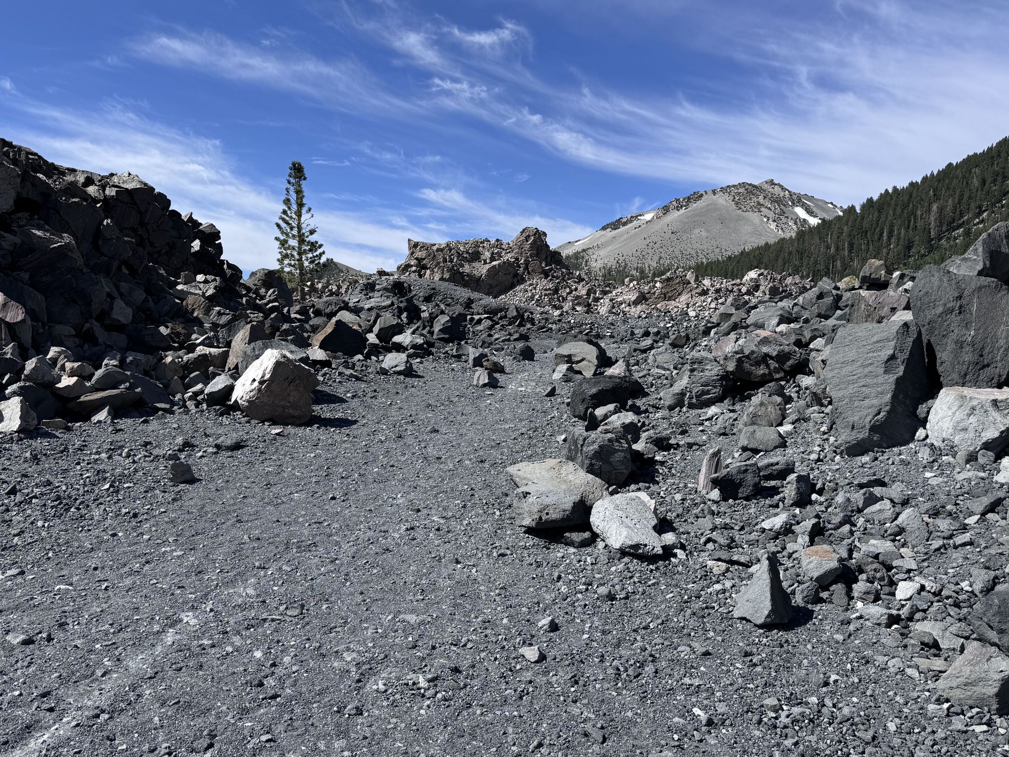 Rocky, barren landscape with a narrow path, sparse trees, and distant mountains. - Obsidian Dome Trail