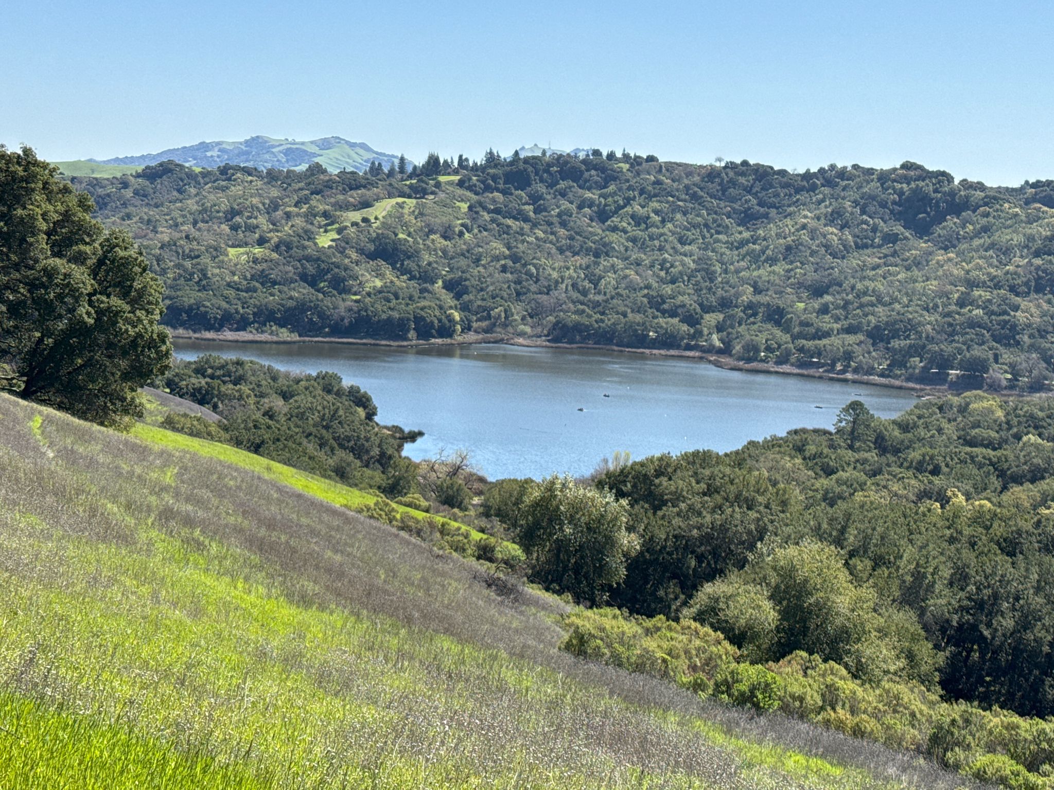 Lake nestled among lush green hills under a clear blue sky. - Lafayette Reservoir Rim and Lakeside Trail Loop