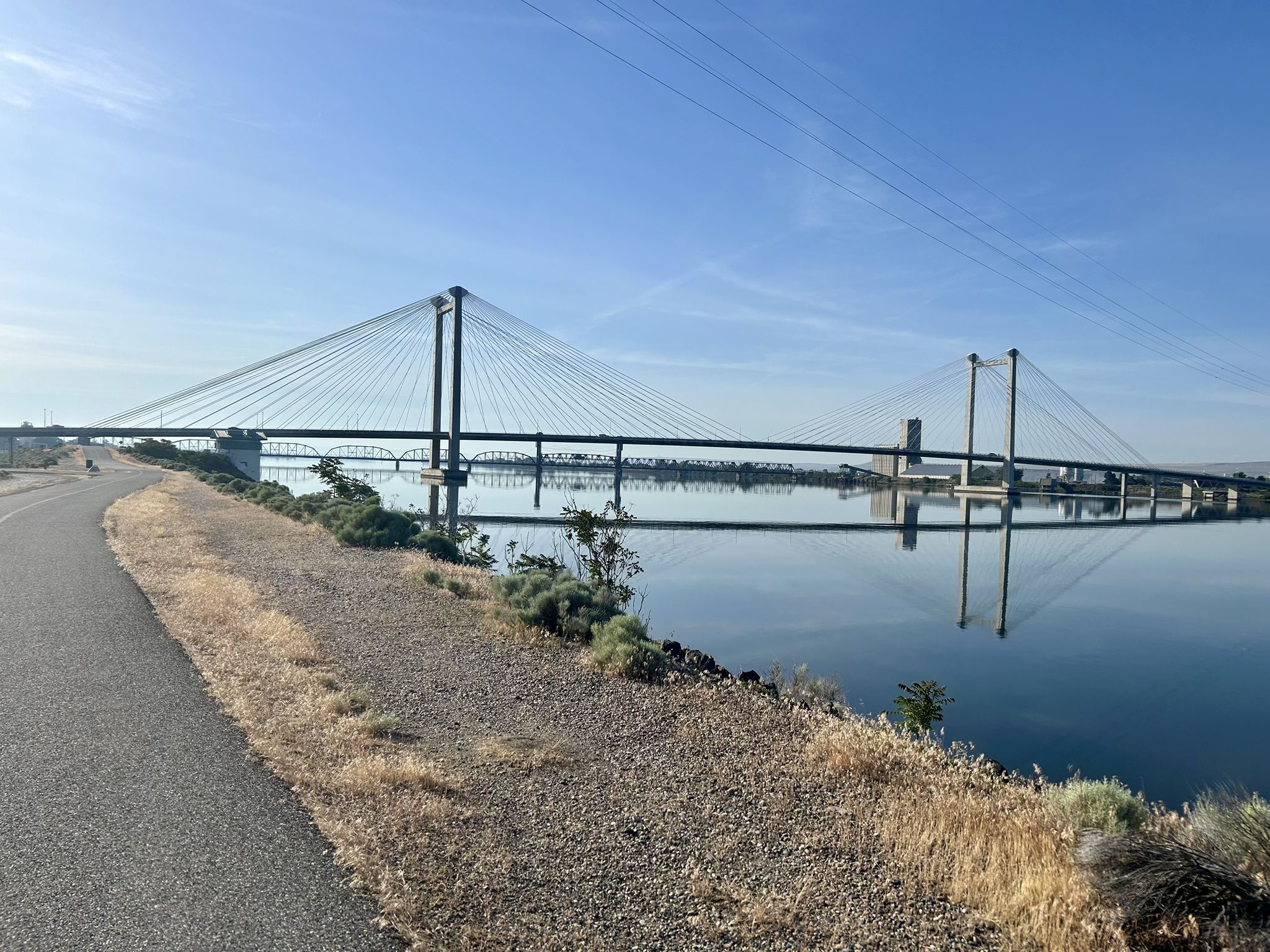 A long cable-stayed bridge spans calm water under a clear blue sky. - Columbia Point Marina Park – Sacagawea State Park loop from Washington State University - Tri-Cities