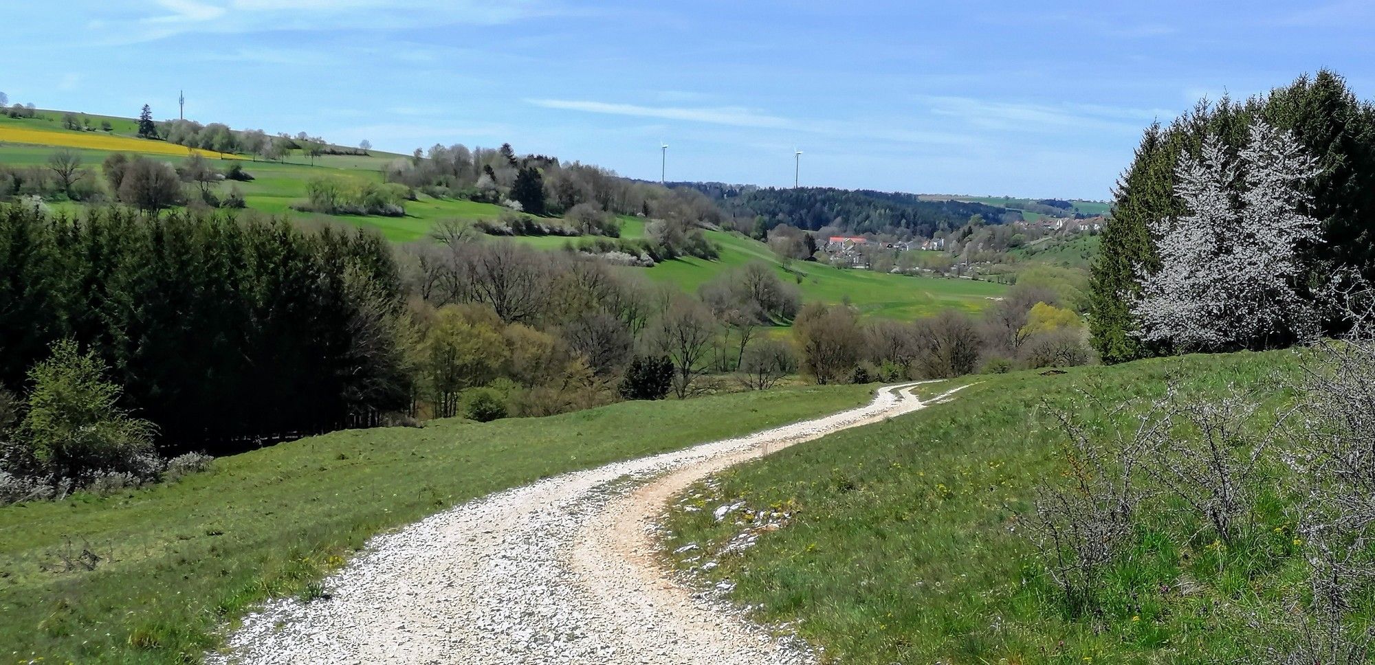 Deining im Rücken