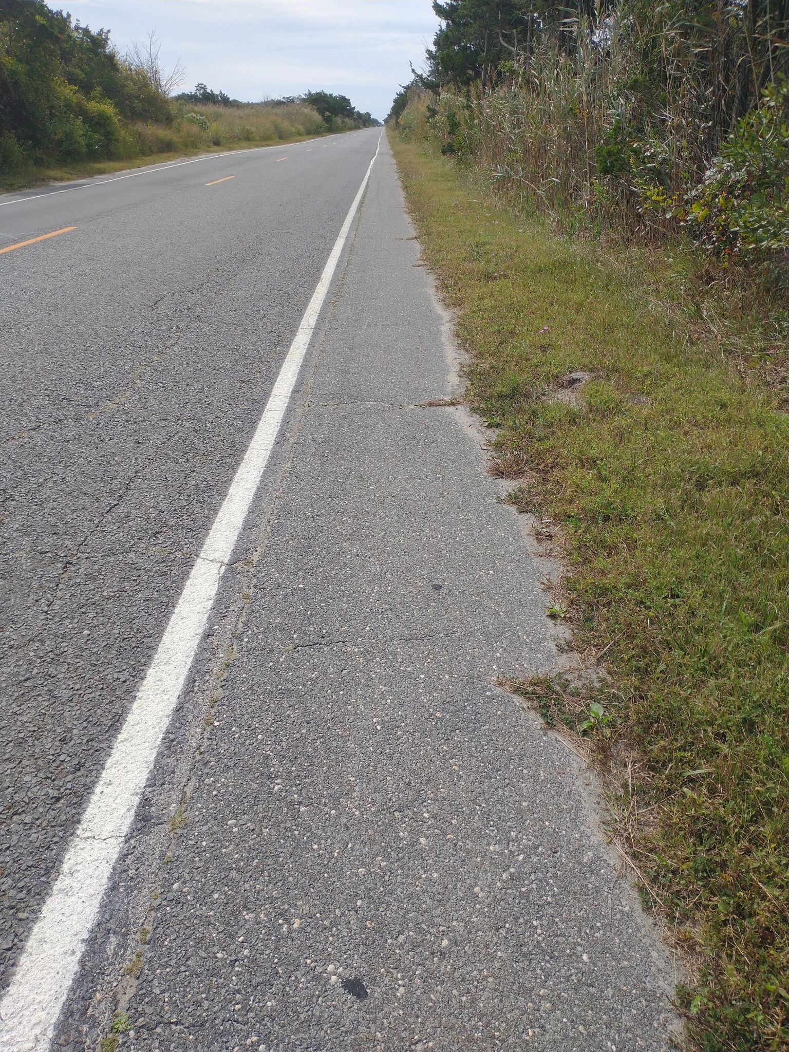 An empty asphalt road with a white line and grassy shoulder under bright skies. - Island Beach State Park Bike Route