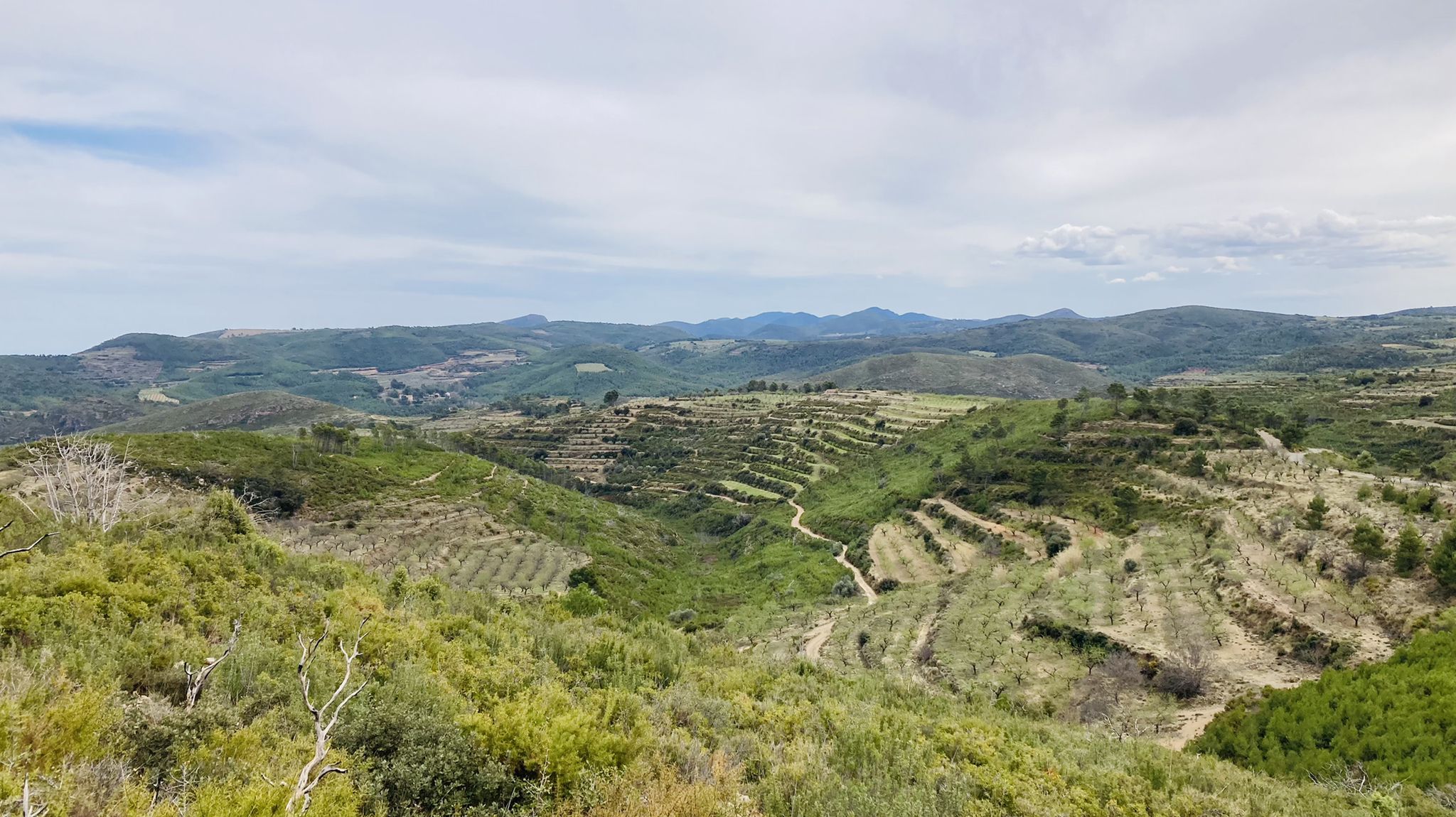 Barranc de Bejes