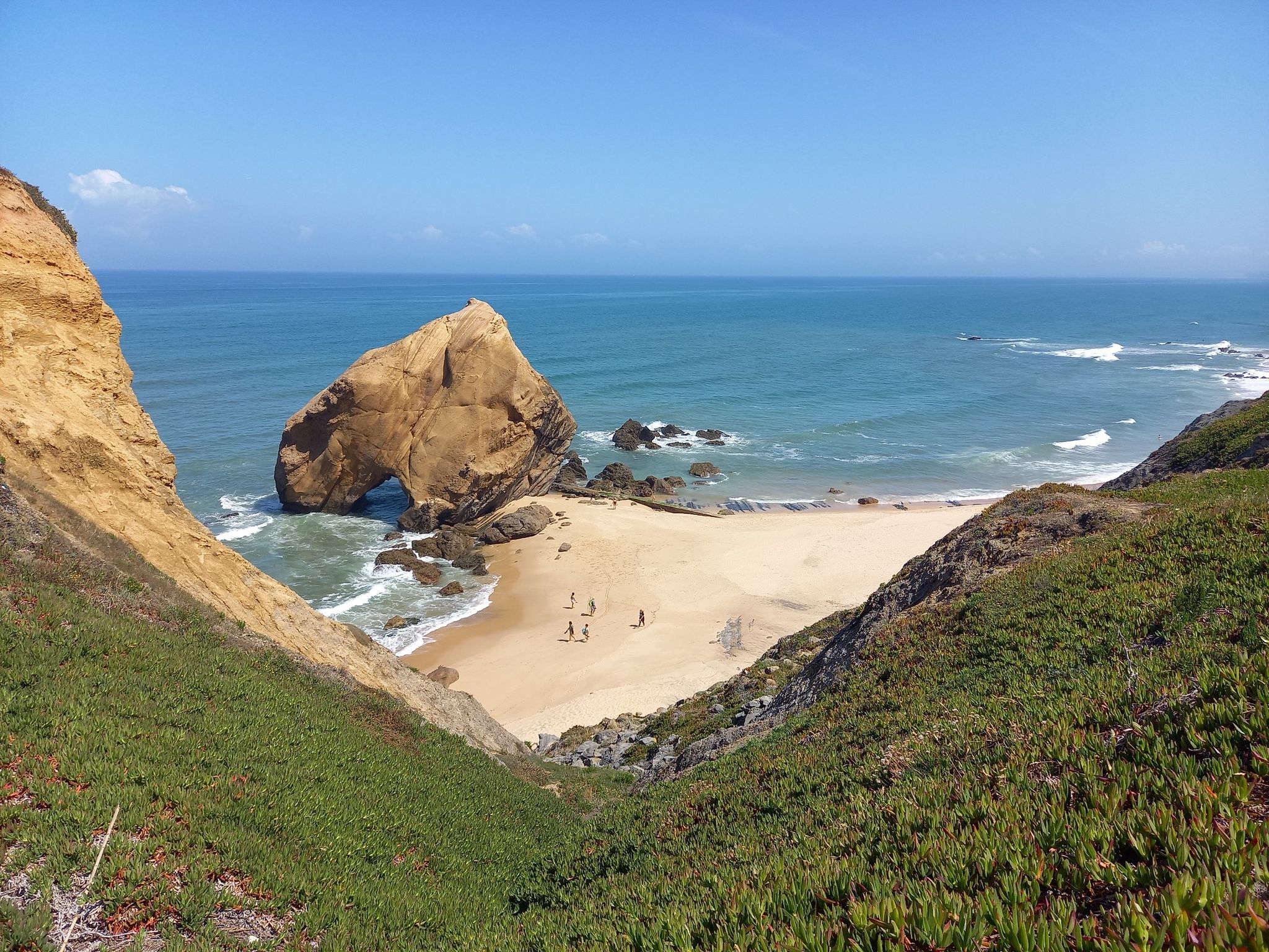 Santa cruz