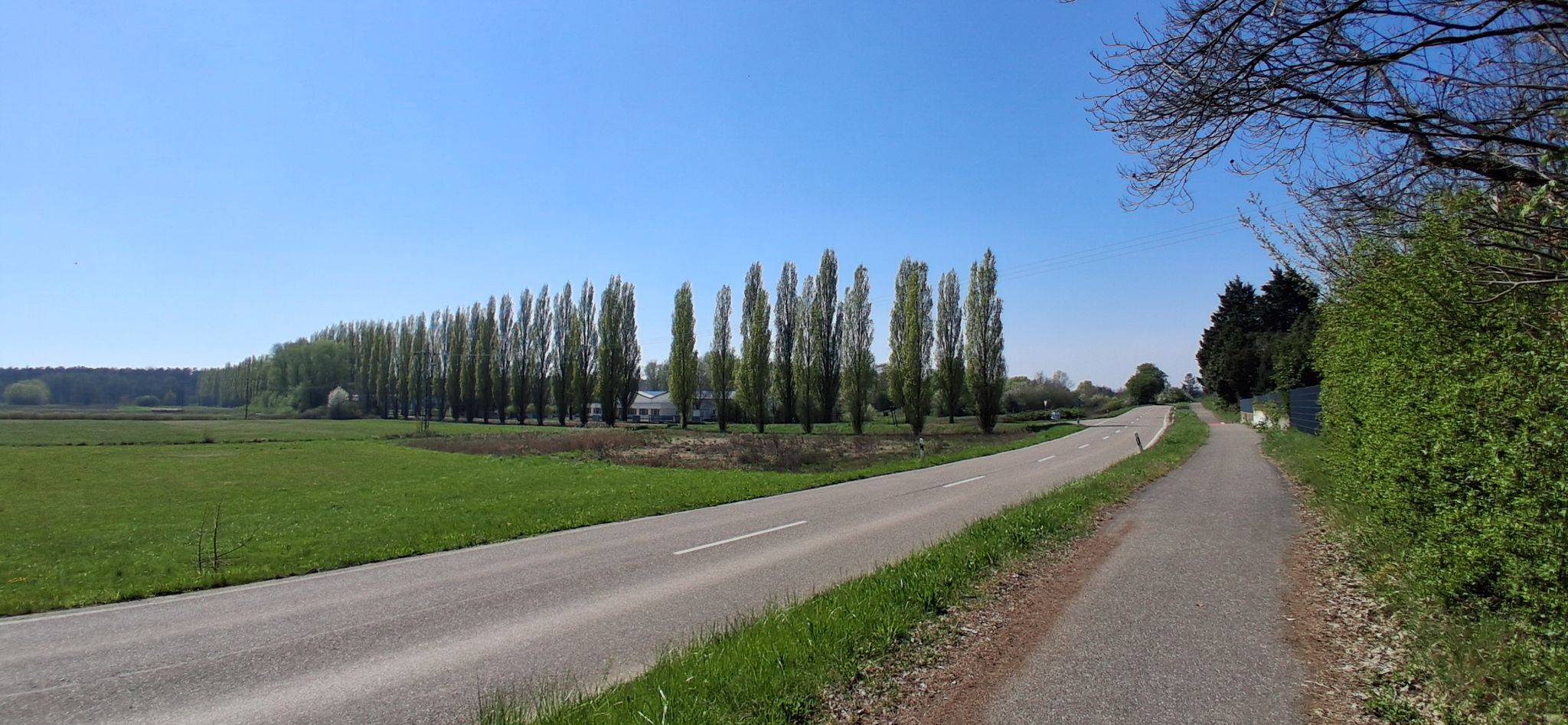 Pappelallee Schaidt