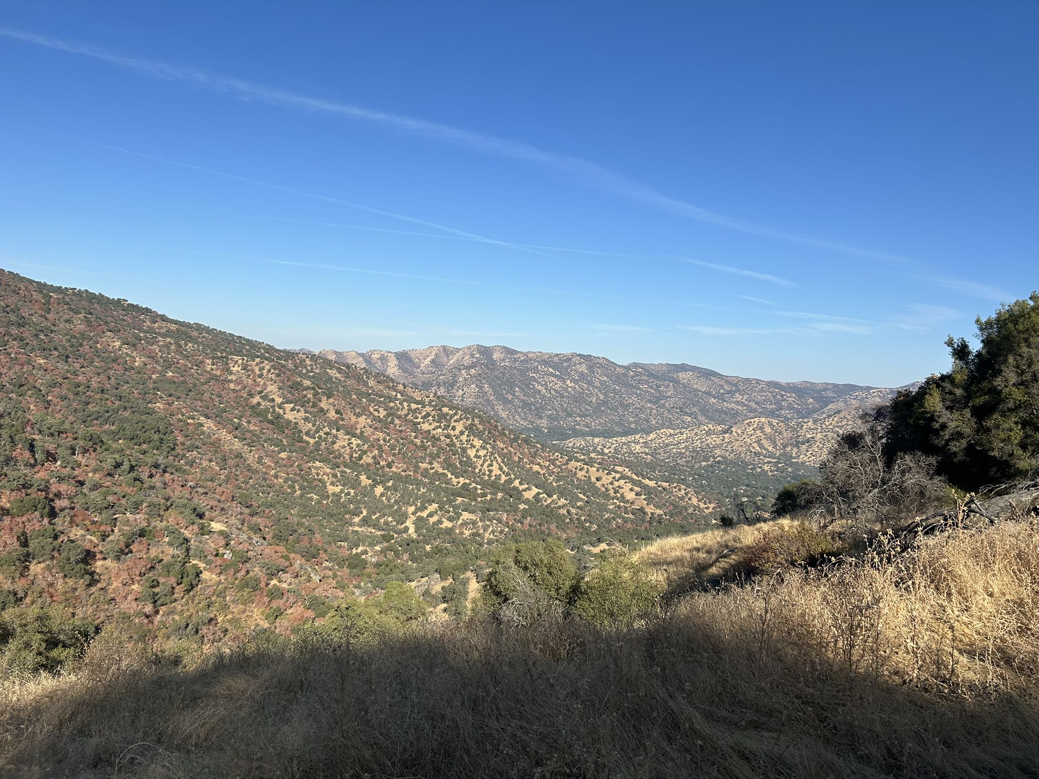 Expansive view of sunlit, rugged mountains and valleys under a clear blue sky. - Skyline Loop and Salt Creek Falls Trail