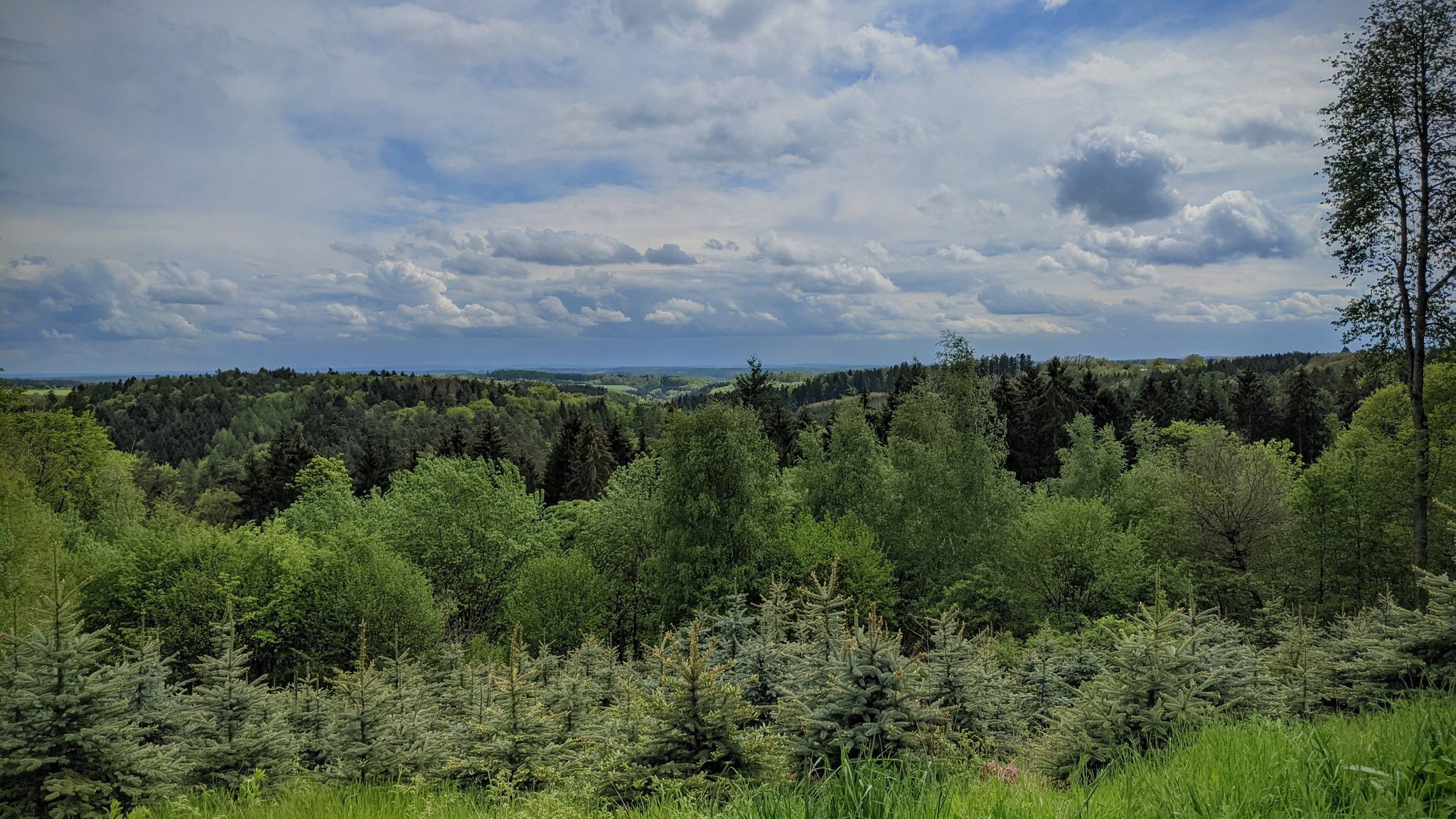 Blick von der Wanderbahn zwischen Laudenberg/Limbach RIchtung SO