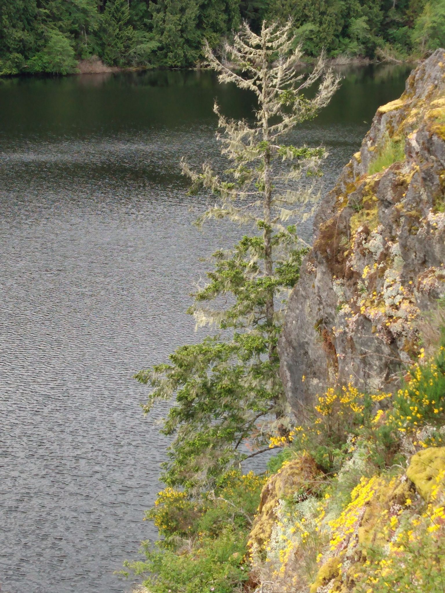 Lake Mathieson