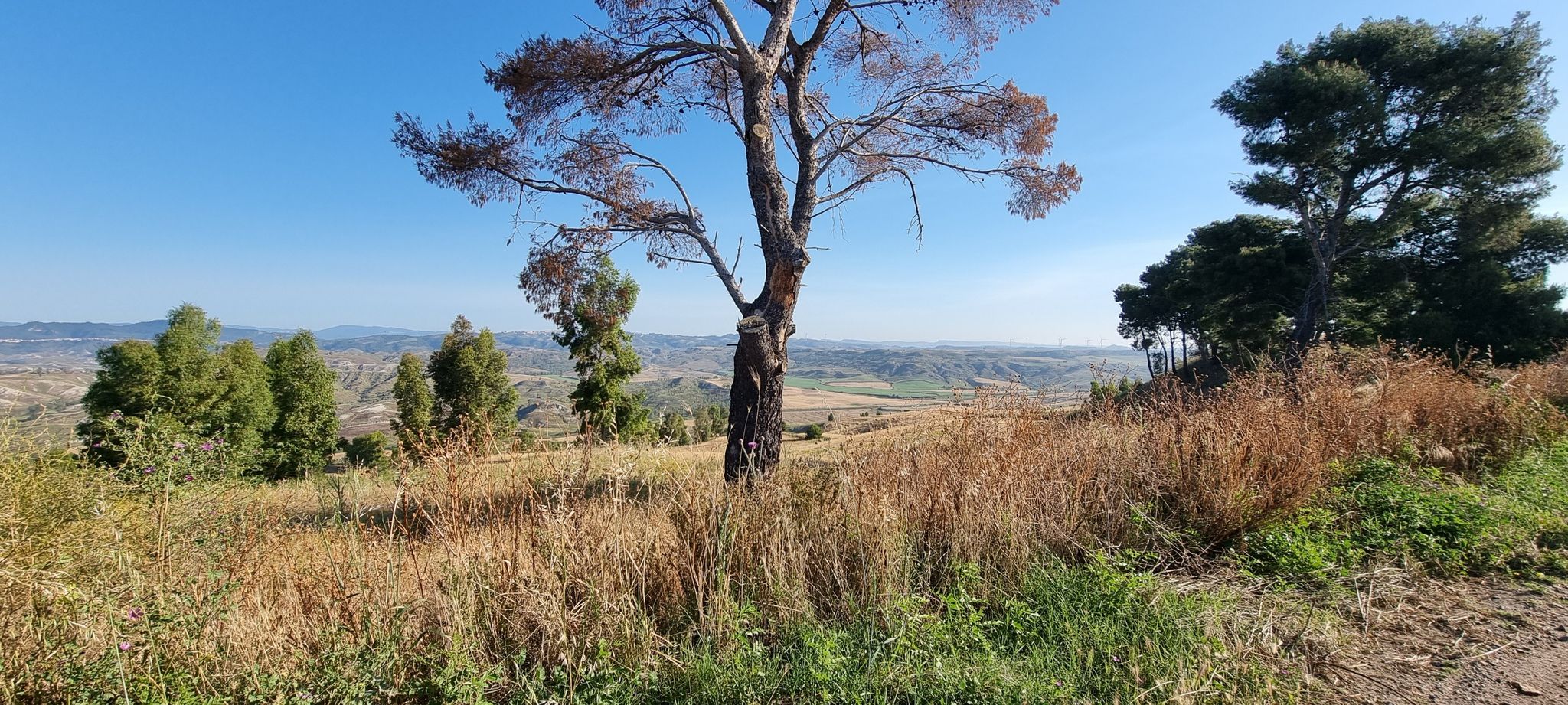 Panoramica
