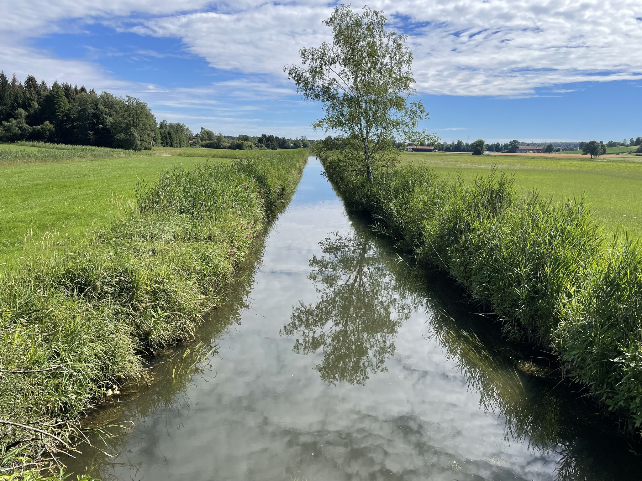 Lechnergraben mit Tintenhausener Moos