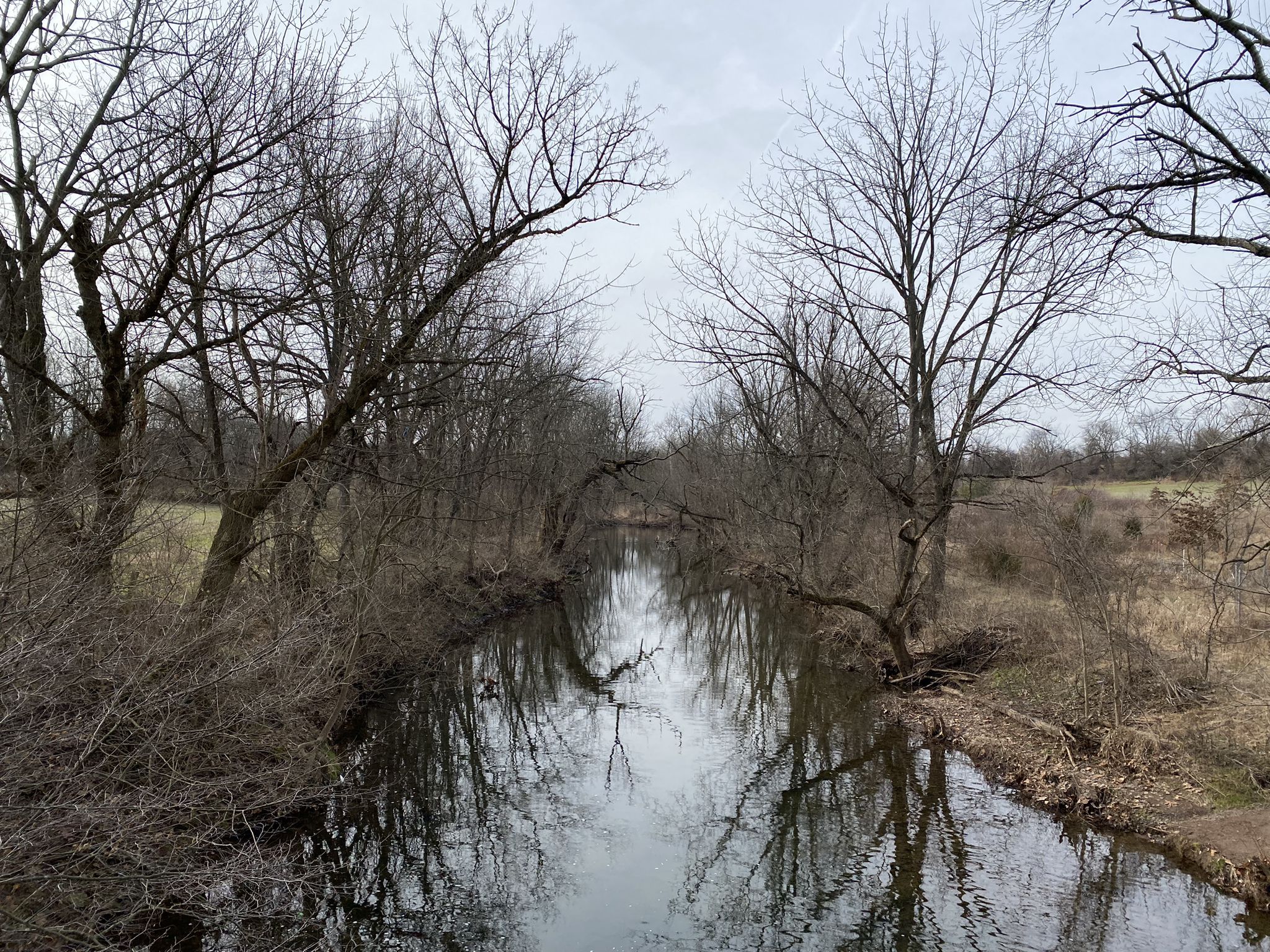 A calm river flows through a dense forest of bare trees on an overcast day. - Norristown Farm Park loop