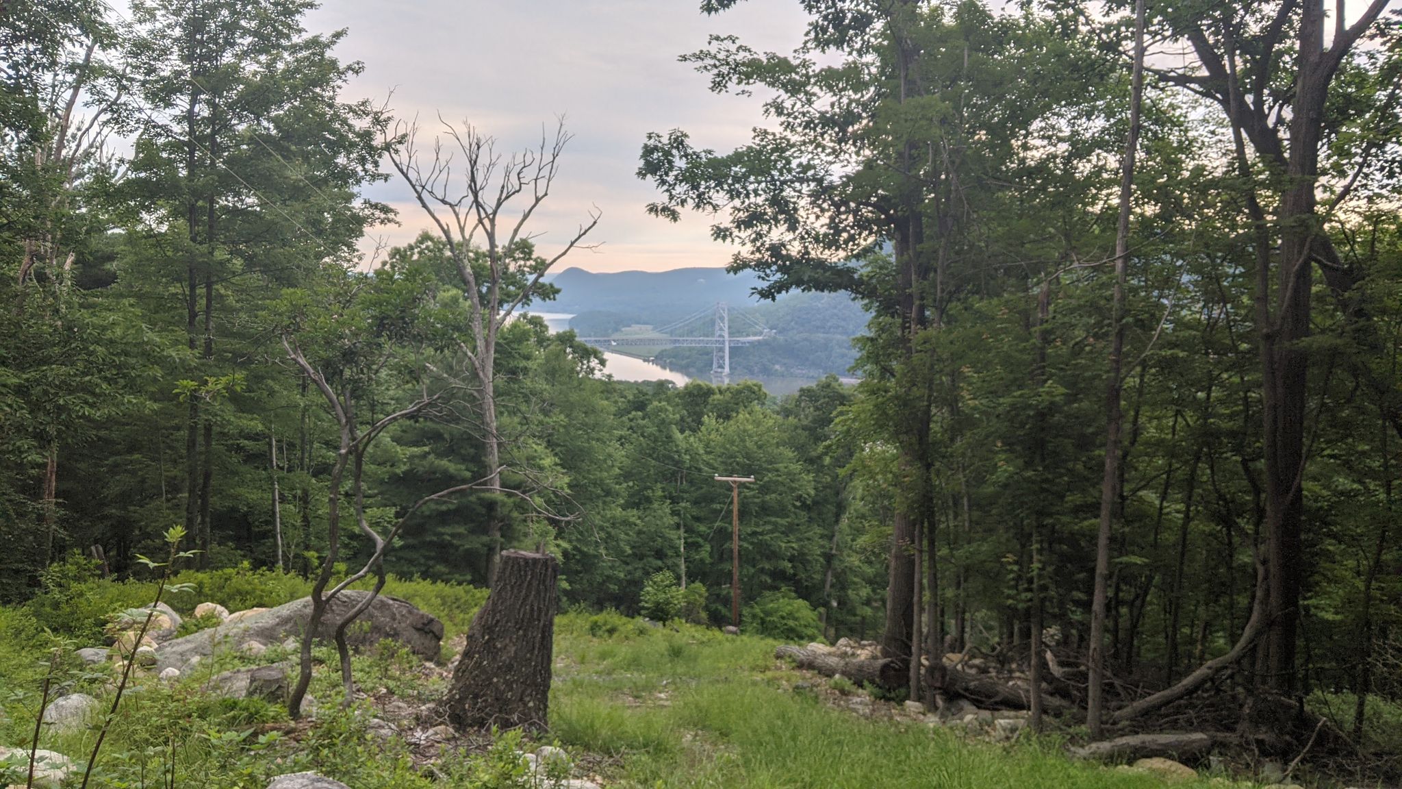 Forest clearing with a distant bridge visible through the trees on a cloudy day. - Doodletown loop