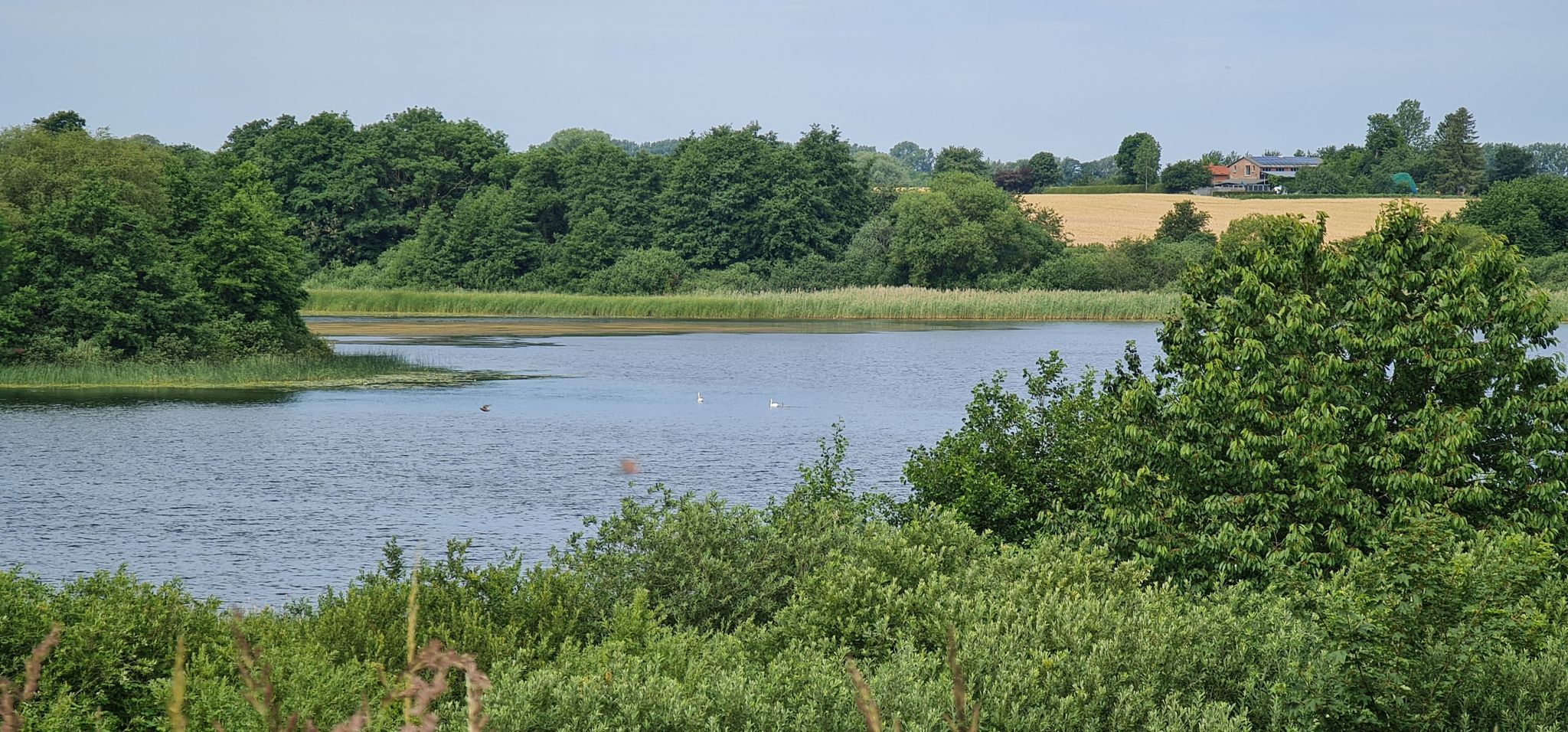 Ein bisschen Pütter See.