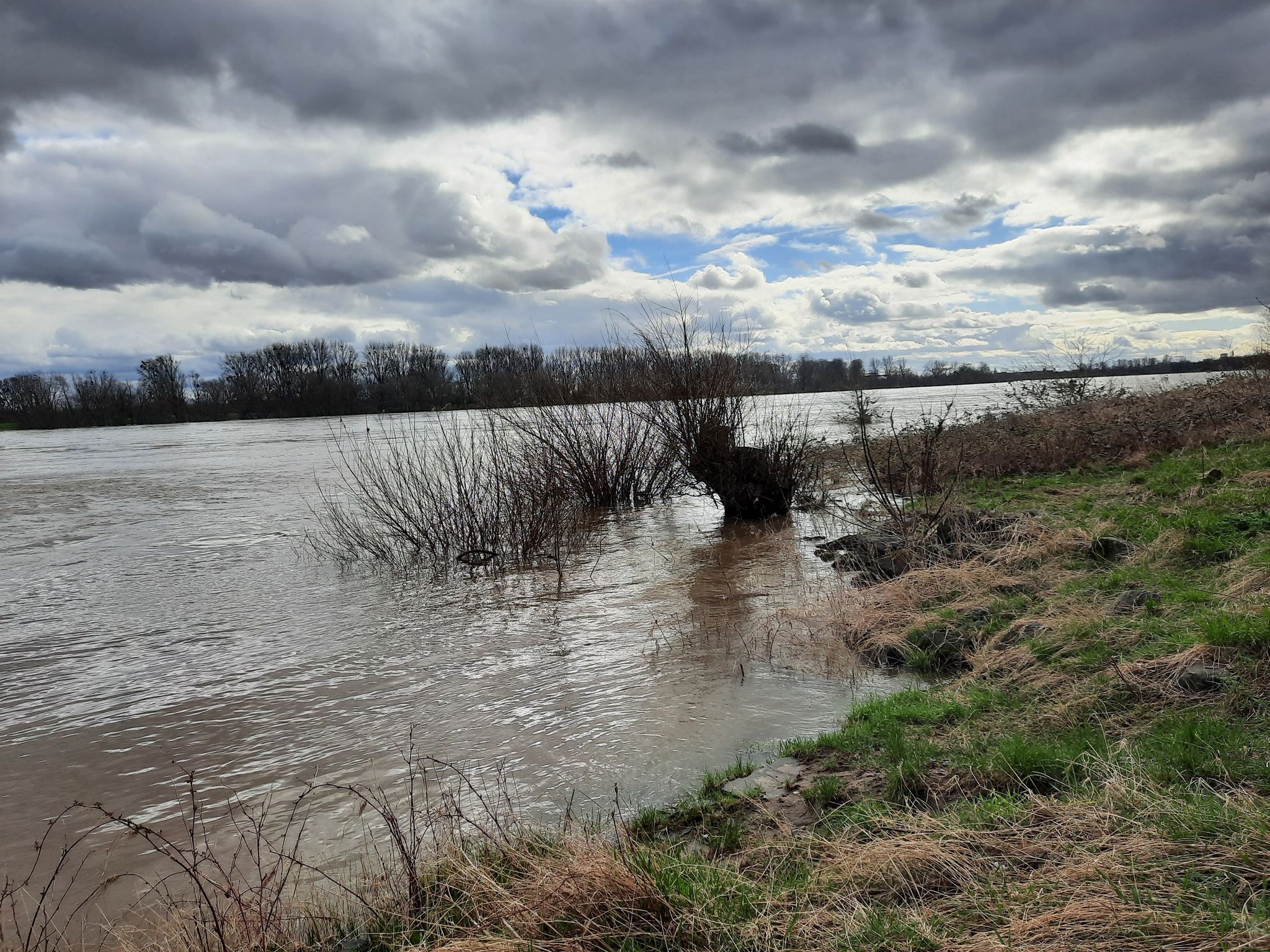 Hochwasser am Rhein