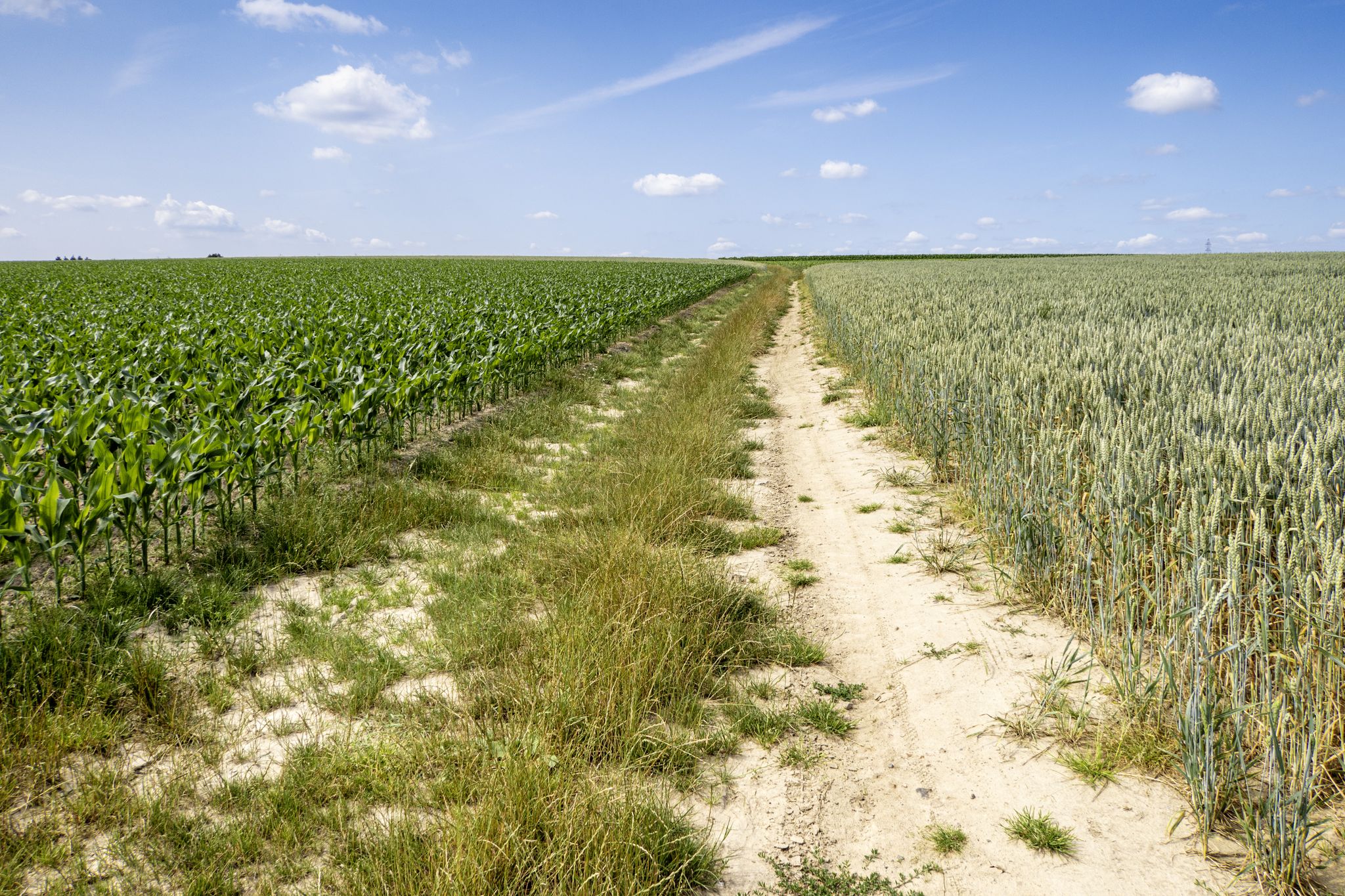 Een heuvel over op zand en gras