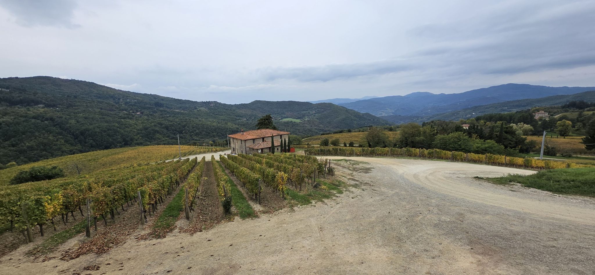 I vigneti di Pomino