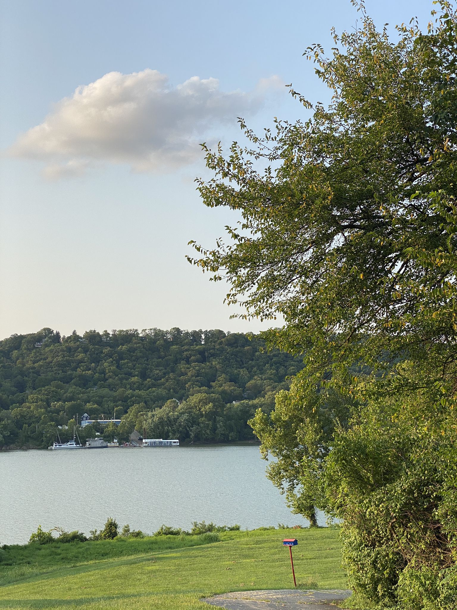 A serene lake with forested hills under a soft sky, green foreground. - Devou Park to Rabbit Hash Loop