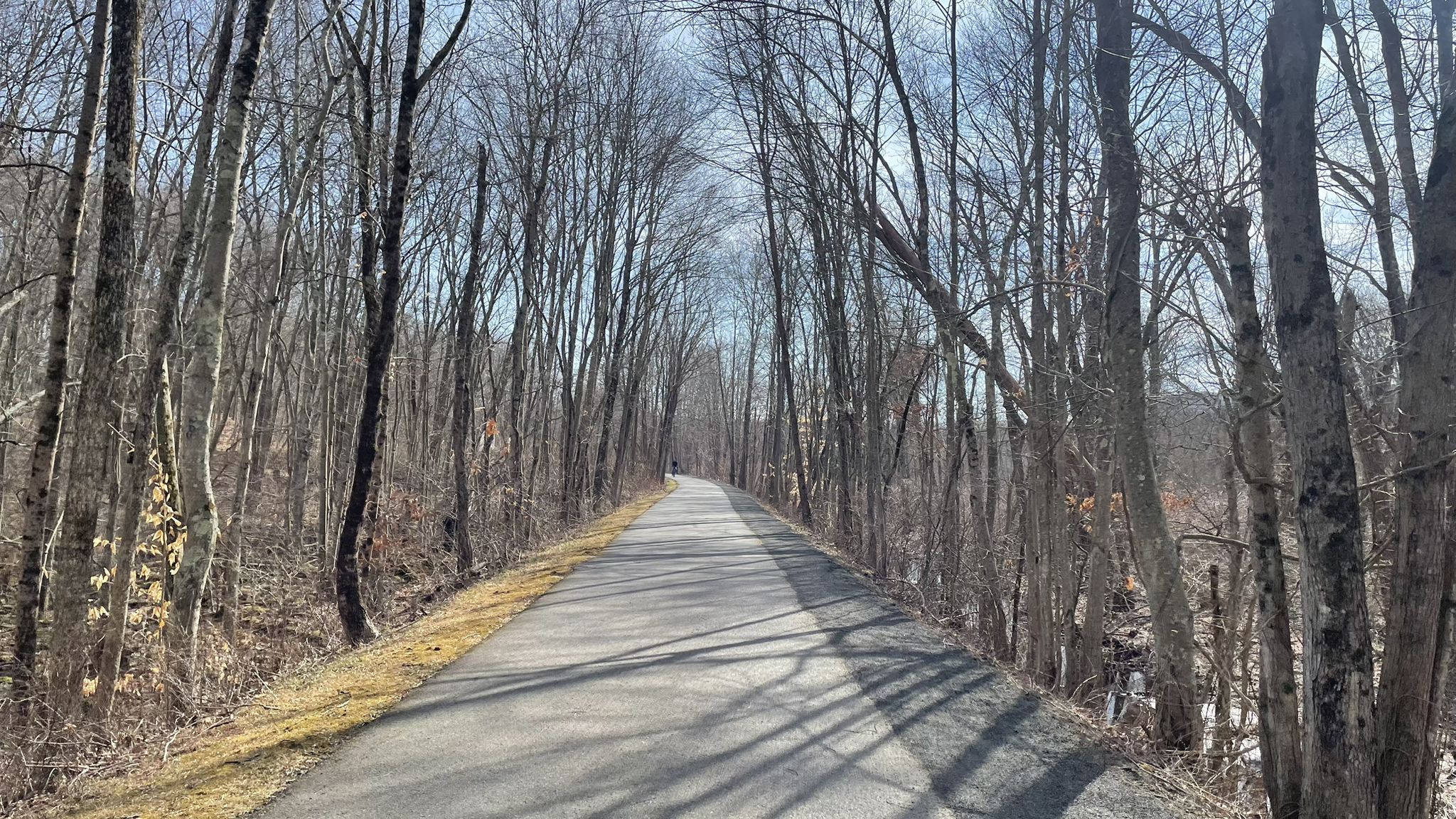Paved path through a bare winter forest with long shadows. - Running loop from Lock 12 Historical Park