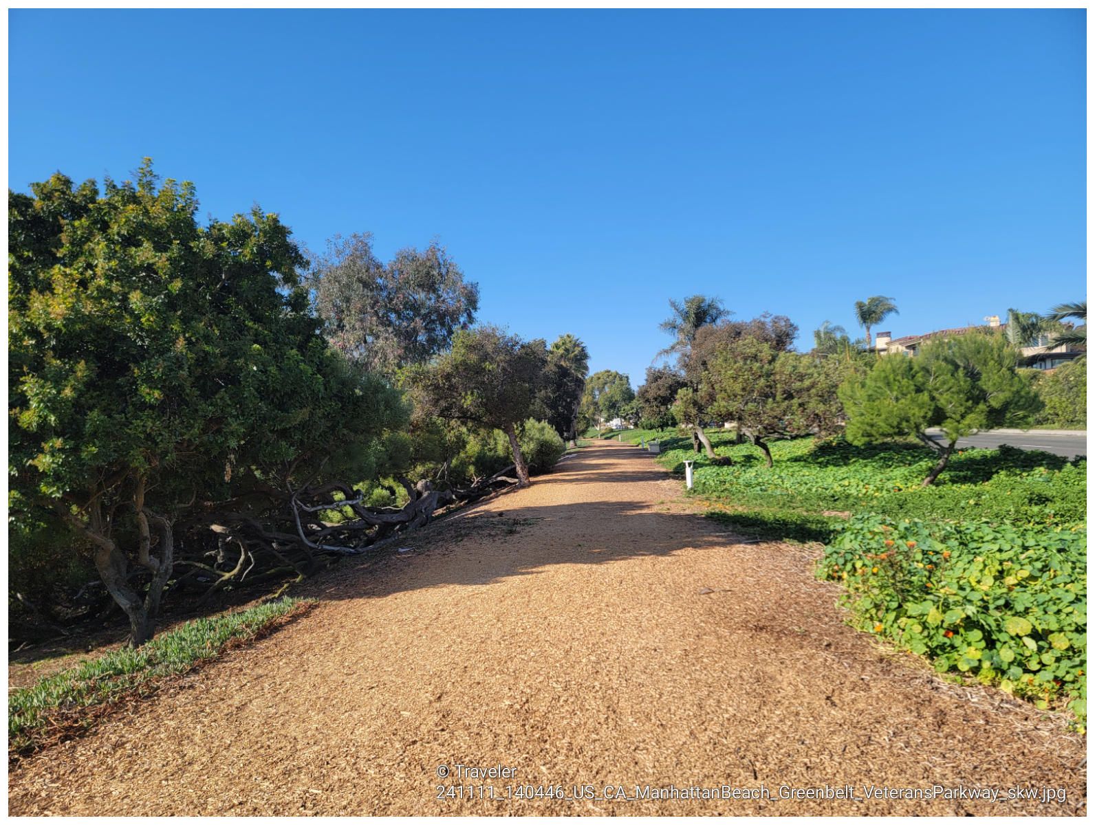 Empty dirt path lined with green trees and bushes under a clear blue sky. - Veteran's Parkway
