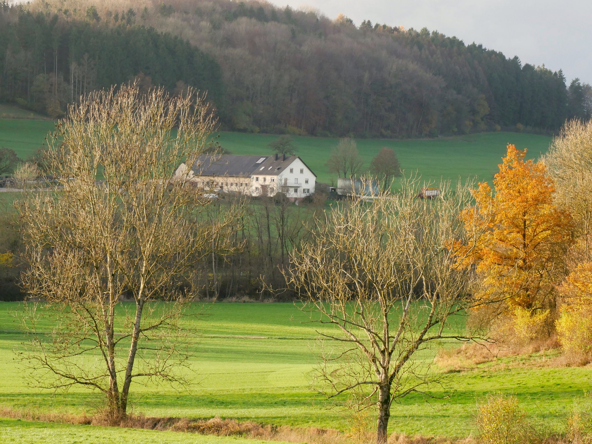 Gersthof
