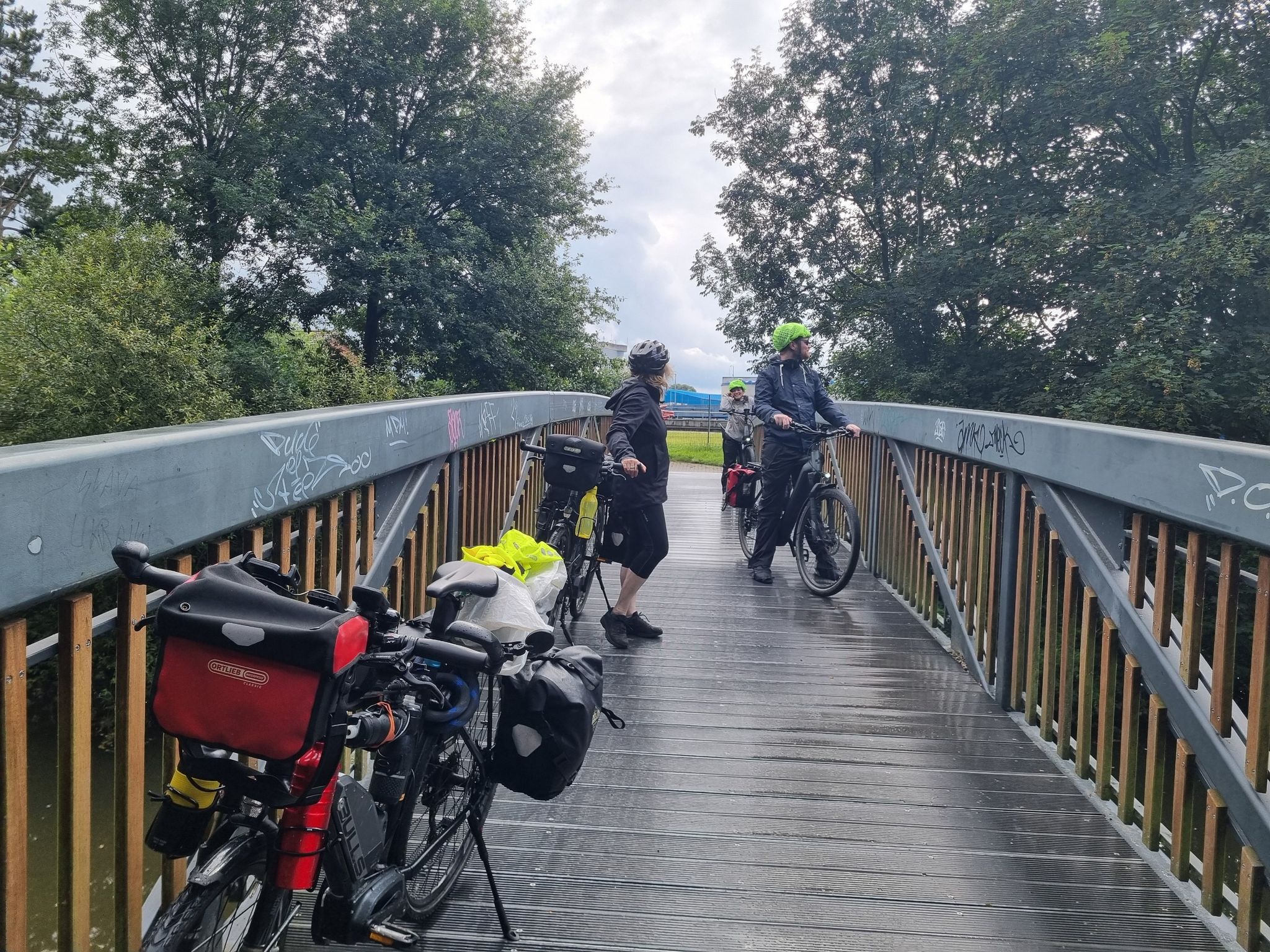kinderfahrrad 20 zoll eiskönigin Dino Bikes – 14 – Mädchen Fahrrad mit abnehmbaren Stützrädern ab 3 Jahren – Kinderrad mit Frontkorb & Puppenträger – verstellbare Sattel- & Lenkerhöhe (Weiß-Blau) Spielzeug Colour:Havana/Brown schloss mülltonnenbox Gazelle Ultimate C380+ First