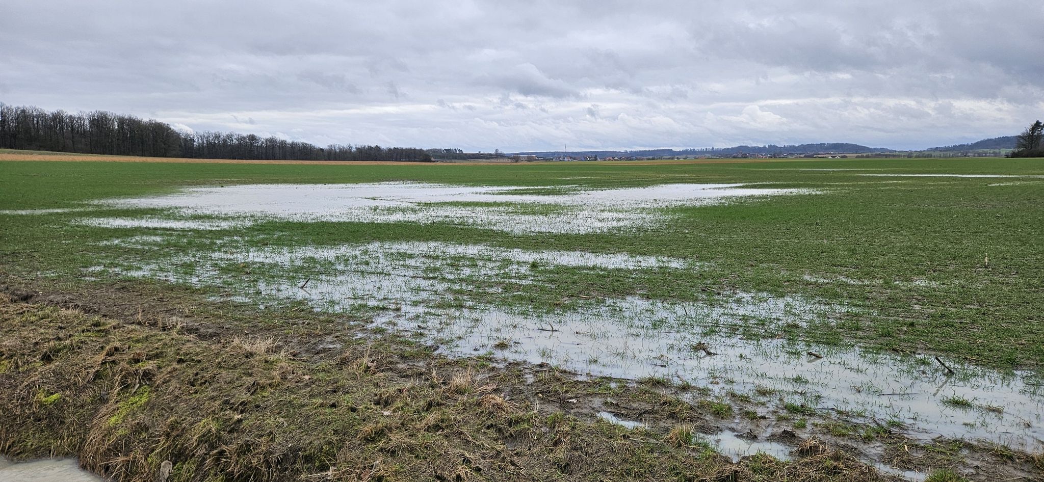 Das Regenwasser steht noch im Acker