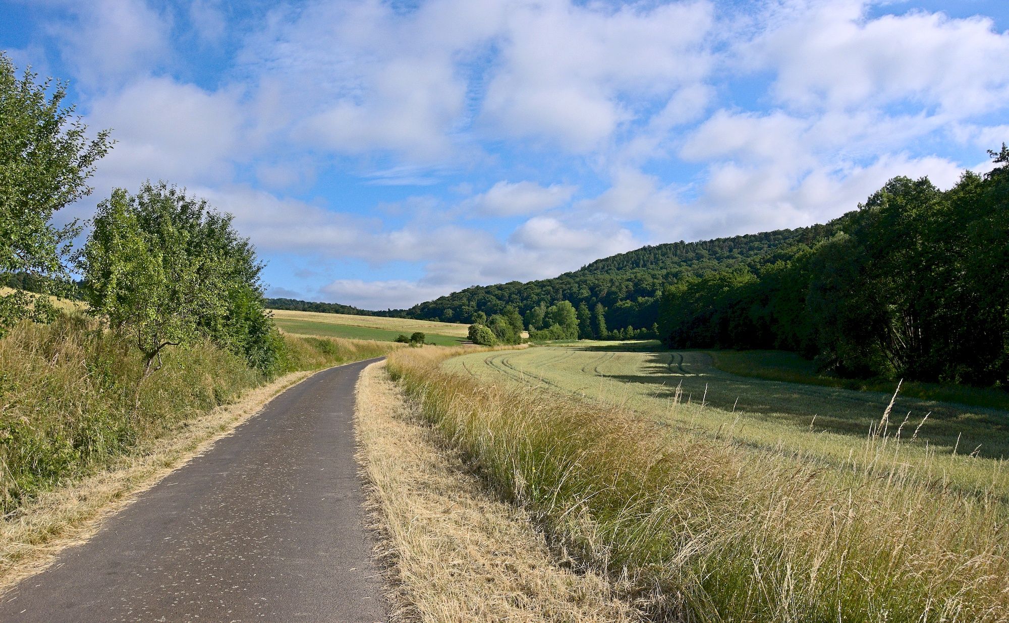 Fahrt durch das Erlesbachtal ab Obersteinbach