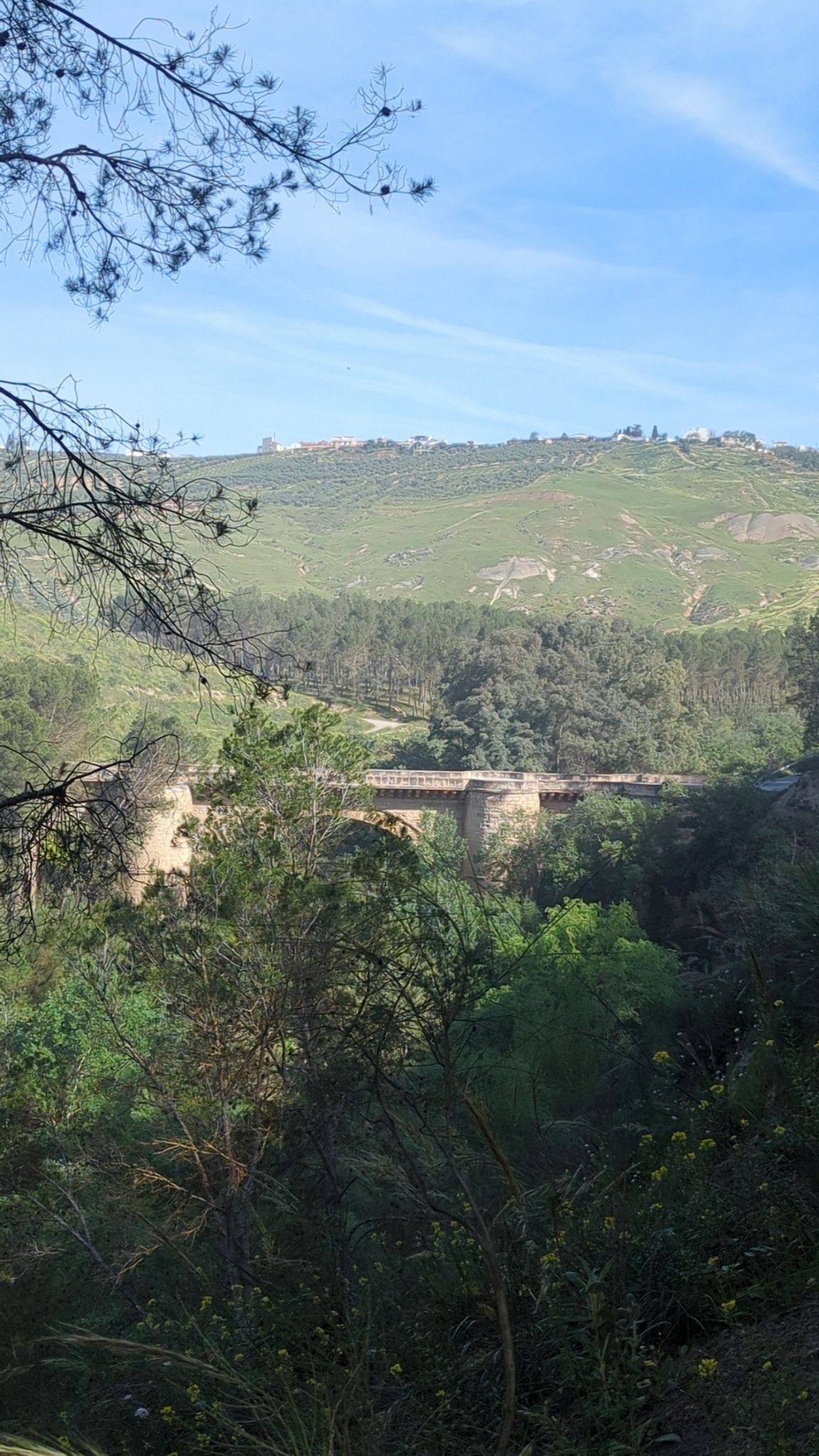Vista al Puente Hernan Ruiz II