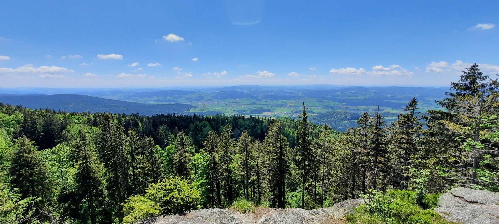 Ausblick vom Stingelfelsen